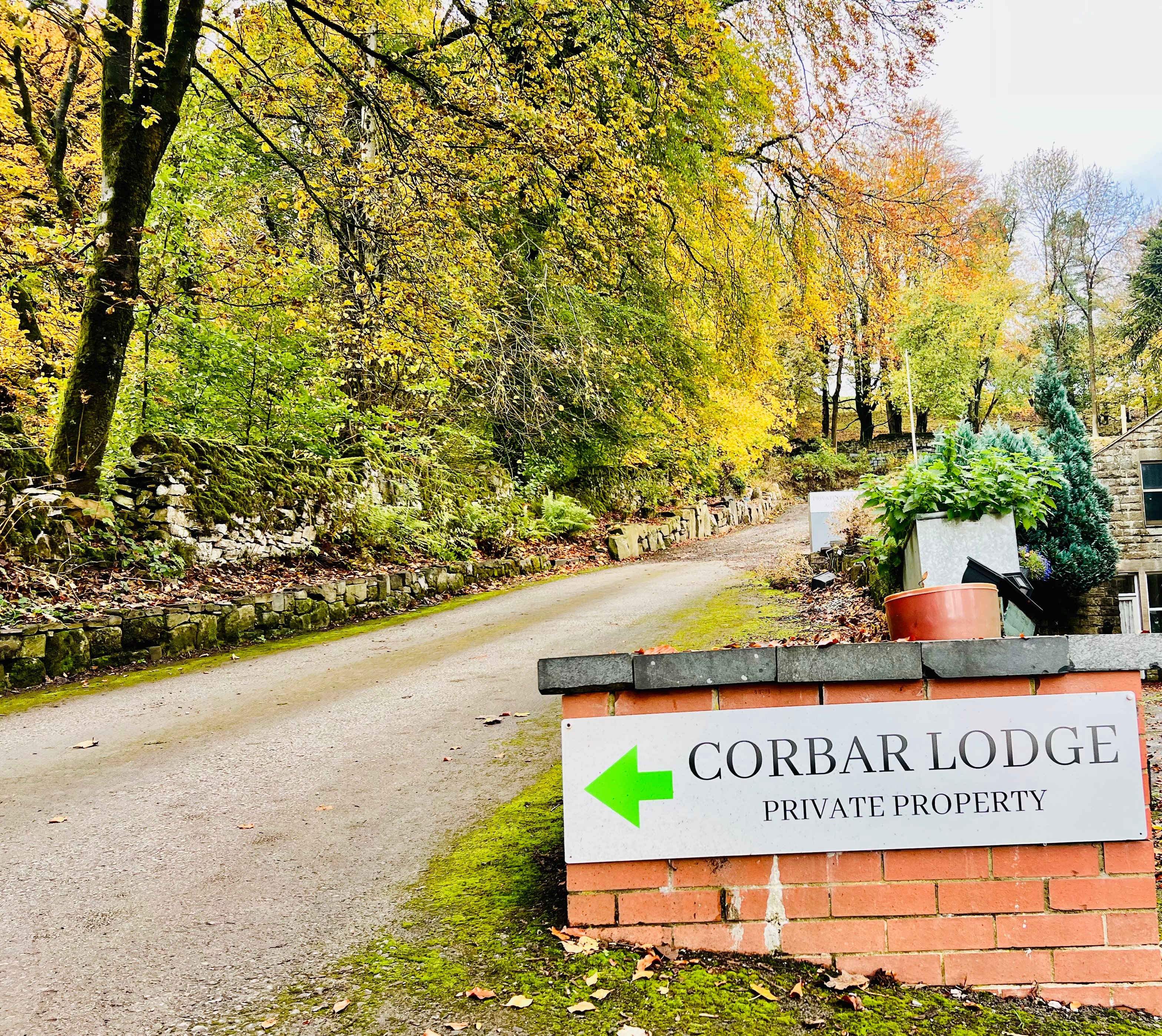 The Duchess's Meadow