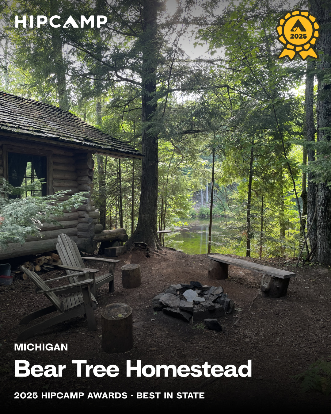 Bear Tree Homestead