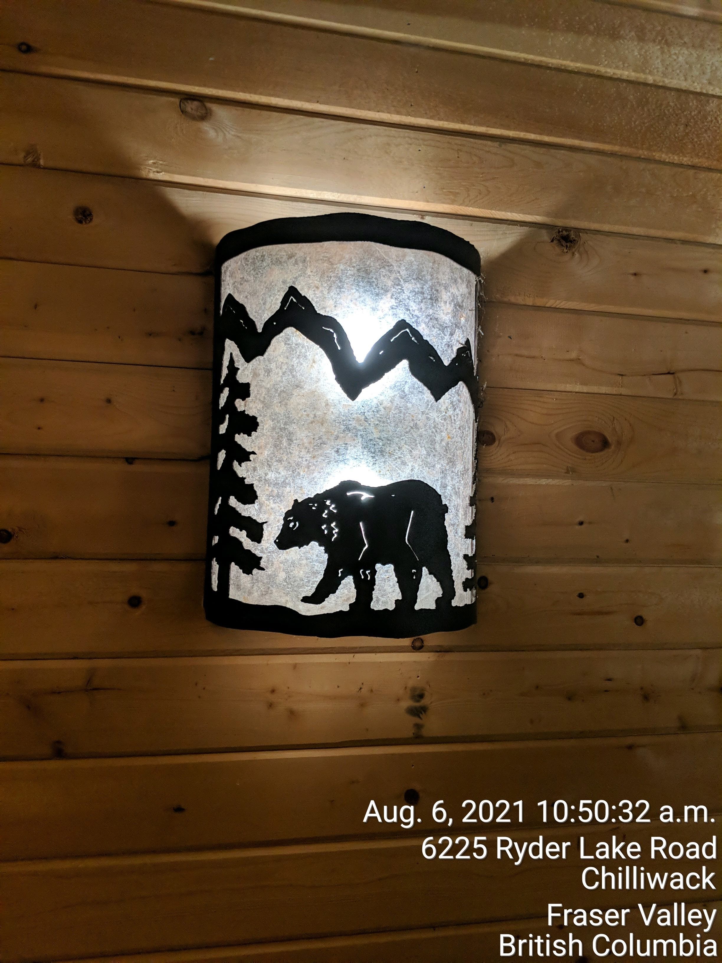 Black Bear