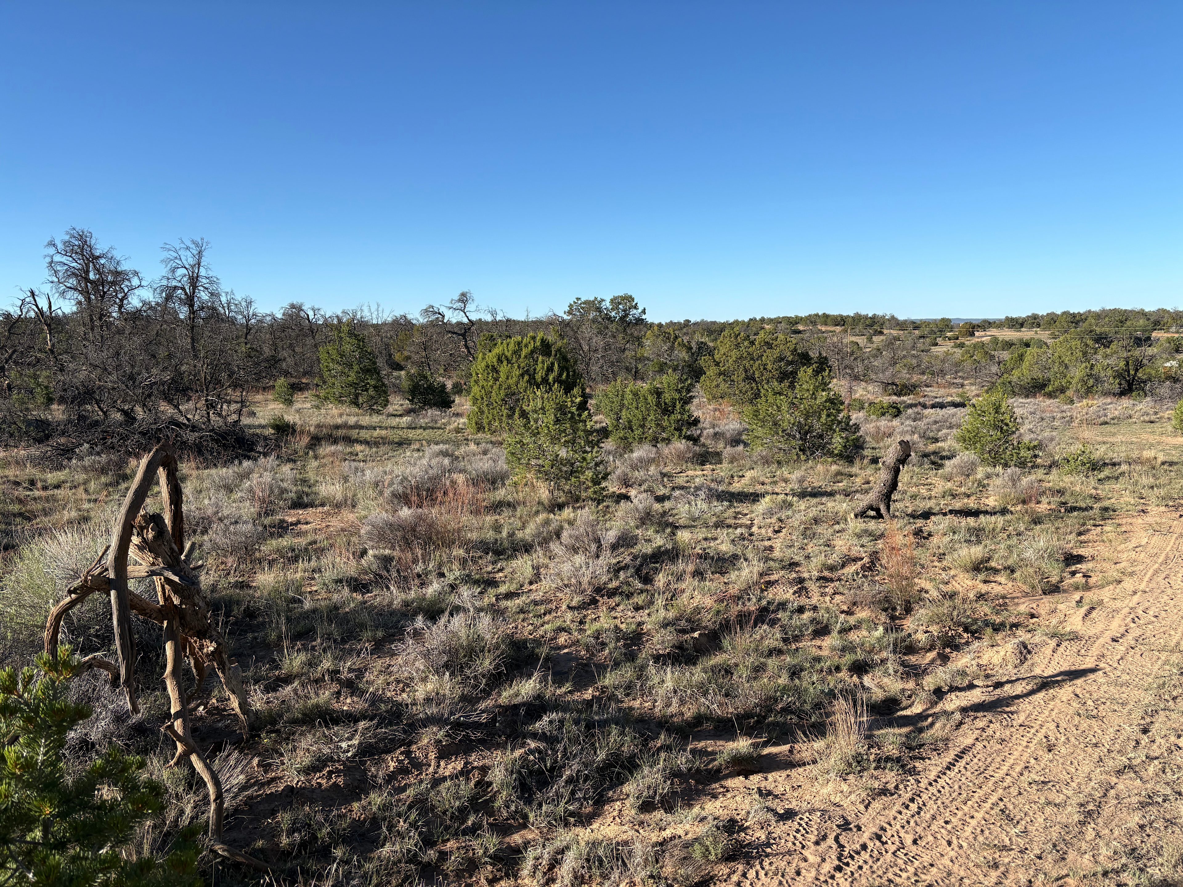 Little Iron Campground