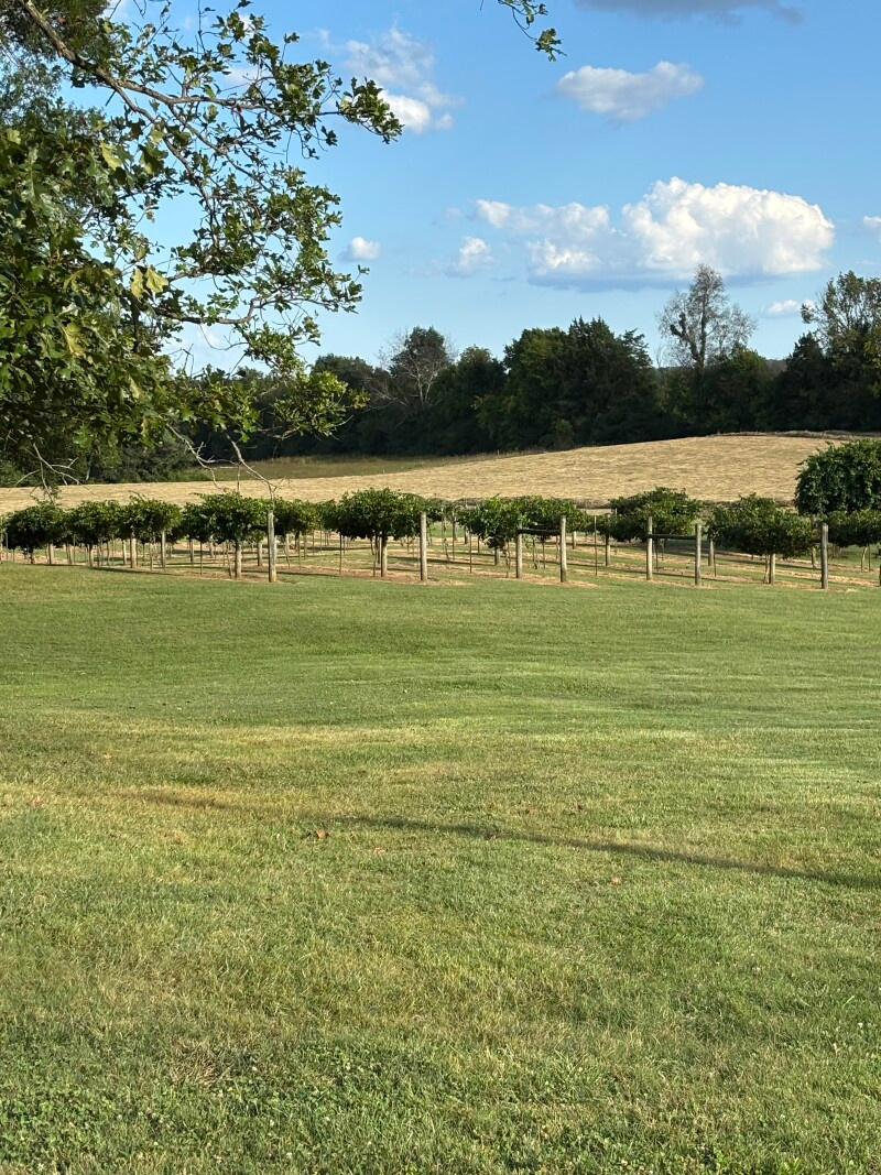 Northfield Vineyards Winery