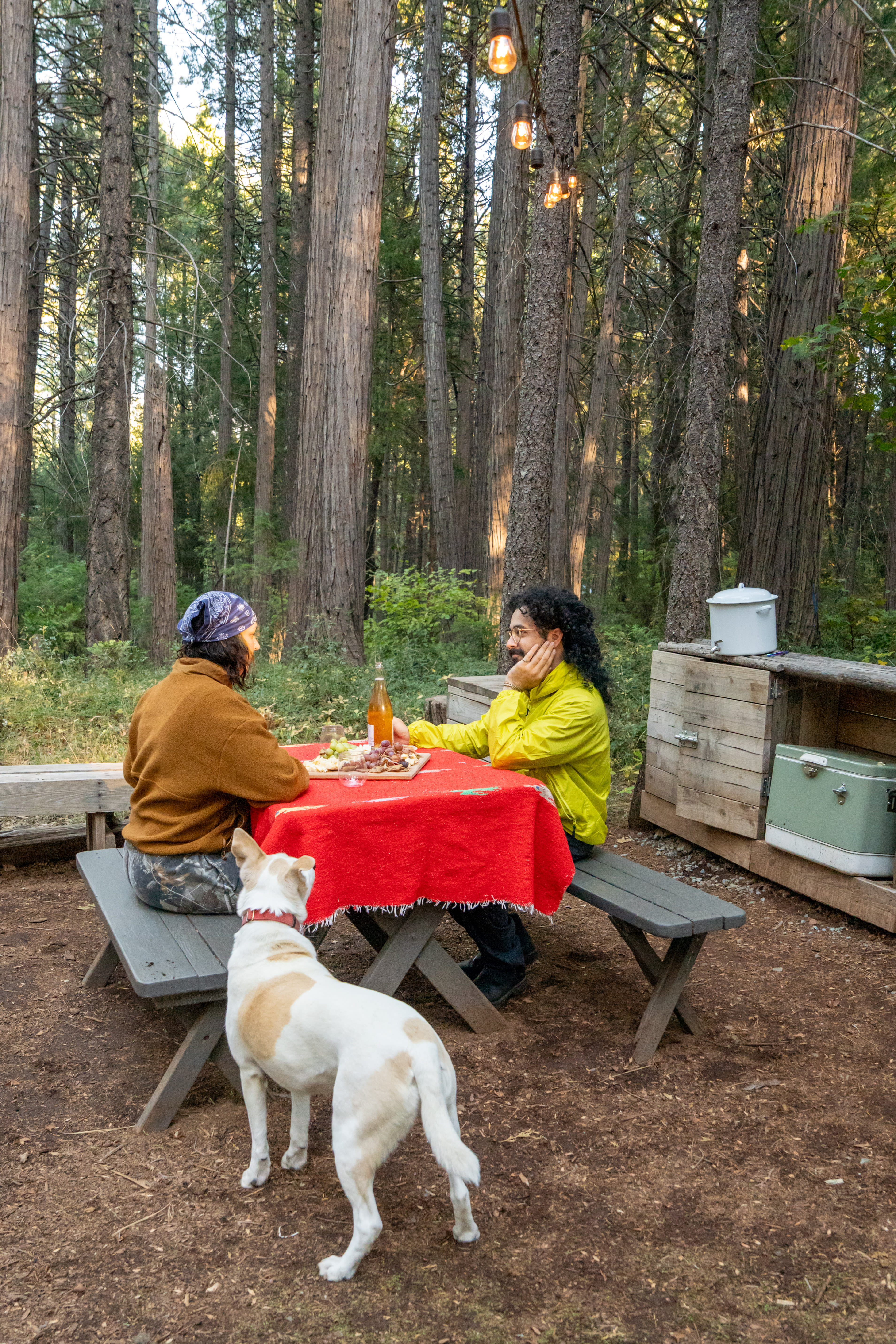 The site features a picnic table, a cooler (just bring ice), and fresh well water!