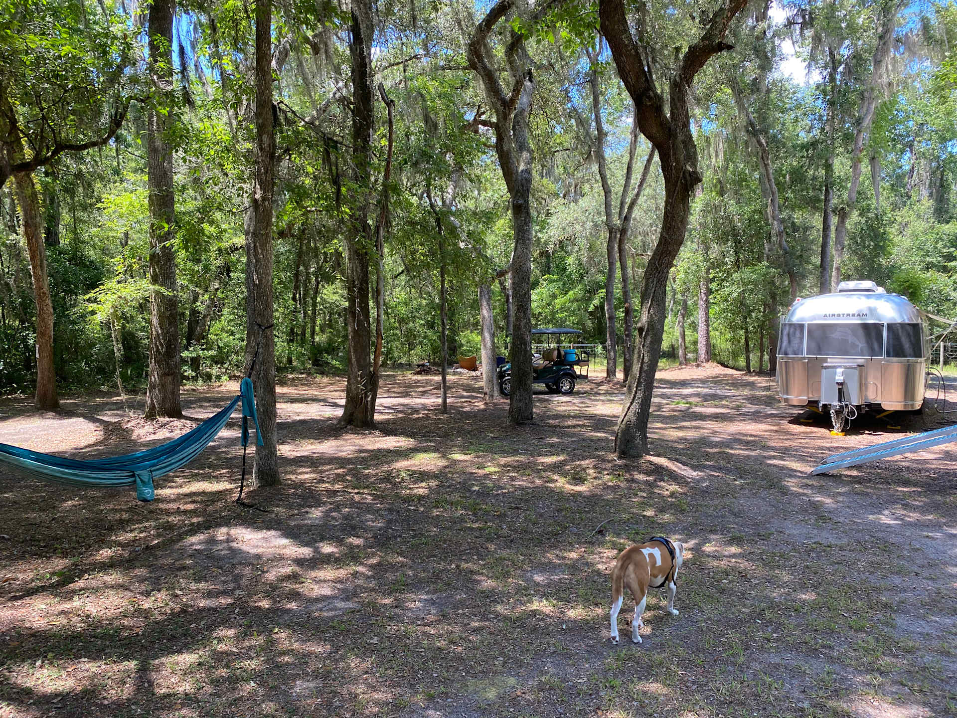 Suwannee River Glamping