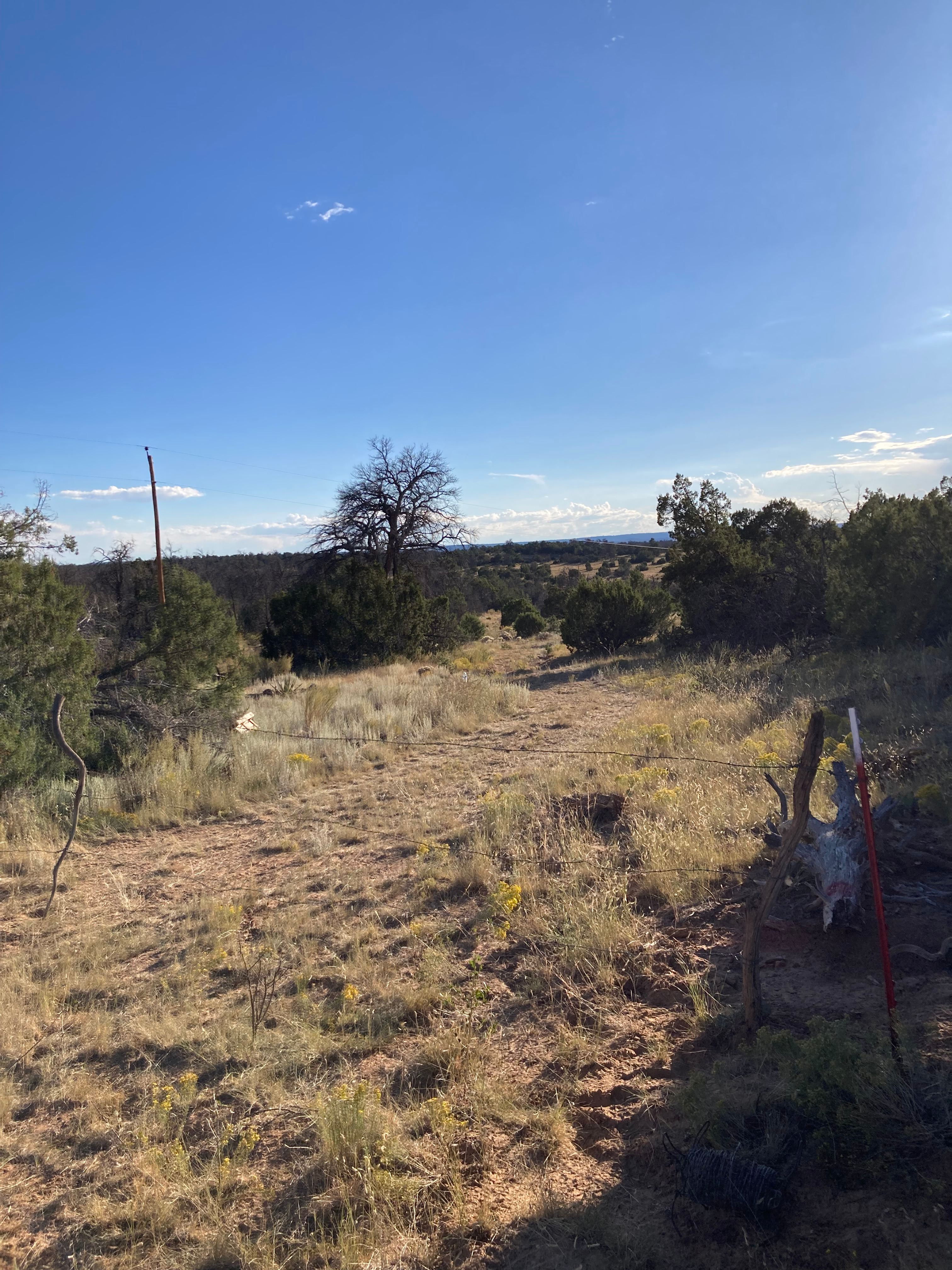 Little Iron Campground