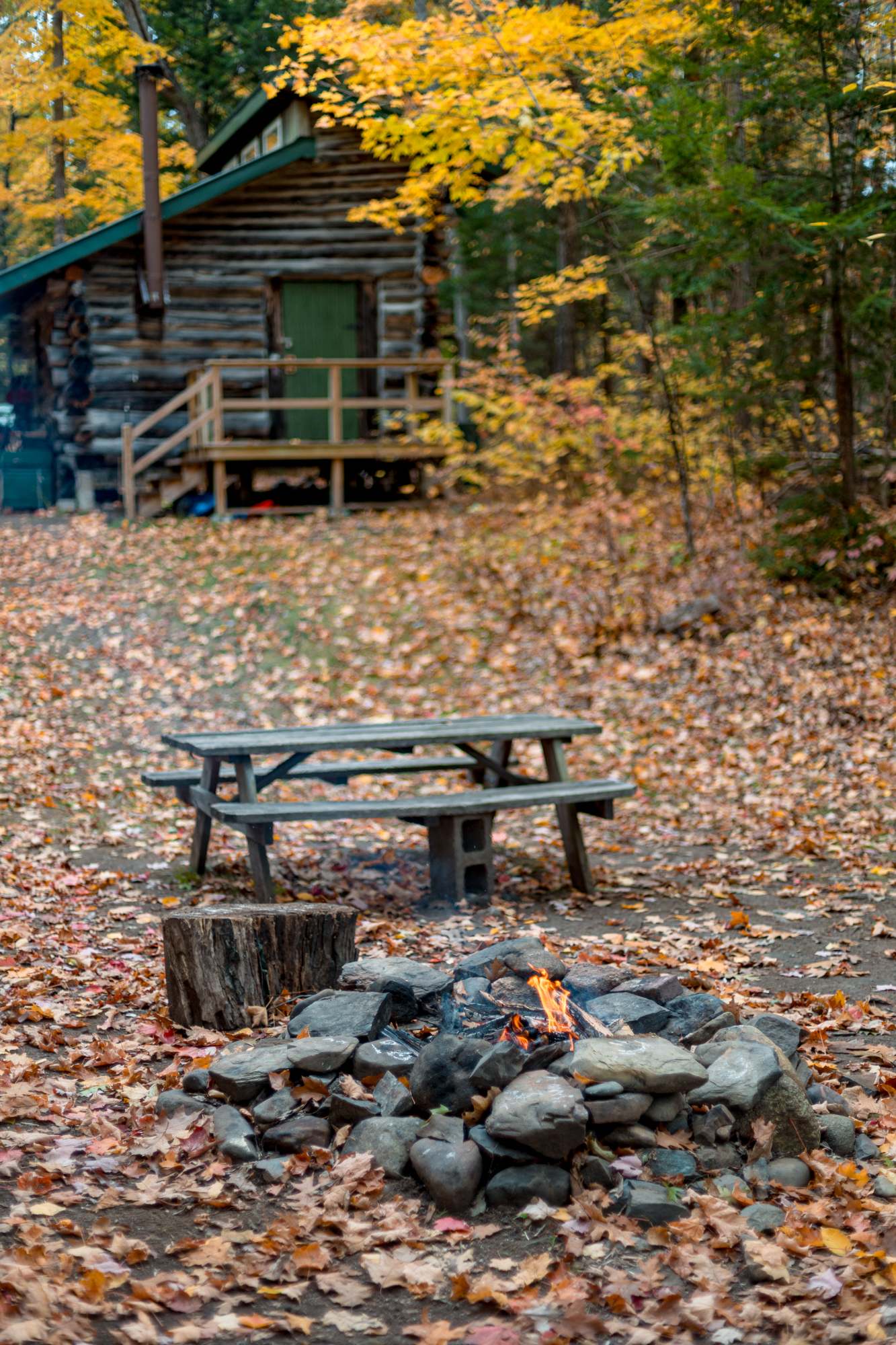 Here is a view from the water looking up towards Dale cabin