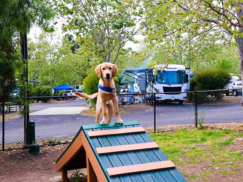 Sun Outdoors Santa Barbara