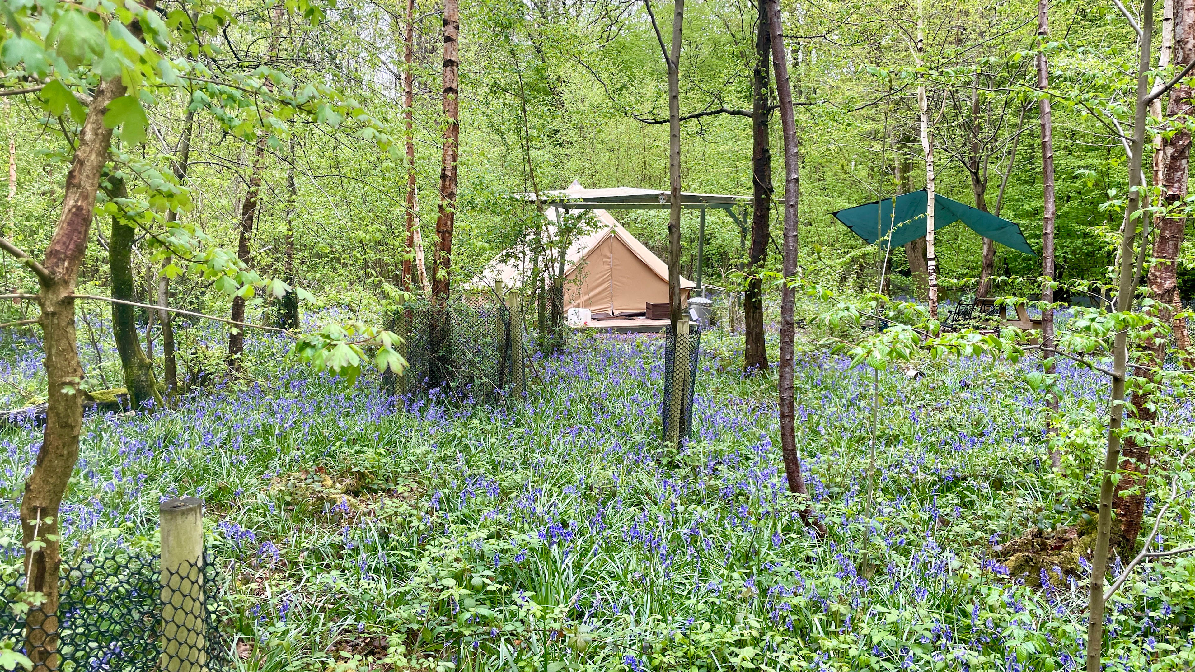 Bell Tent