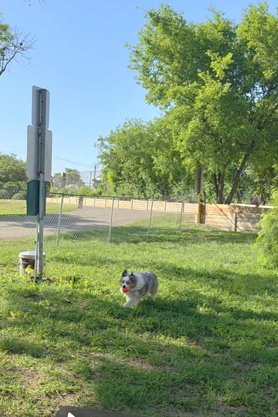 Tejas Valley RV Park