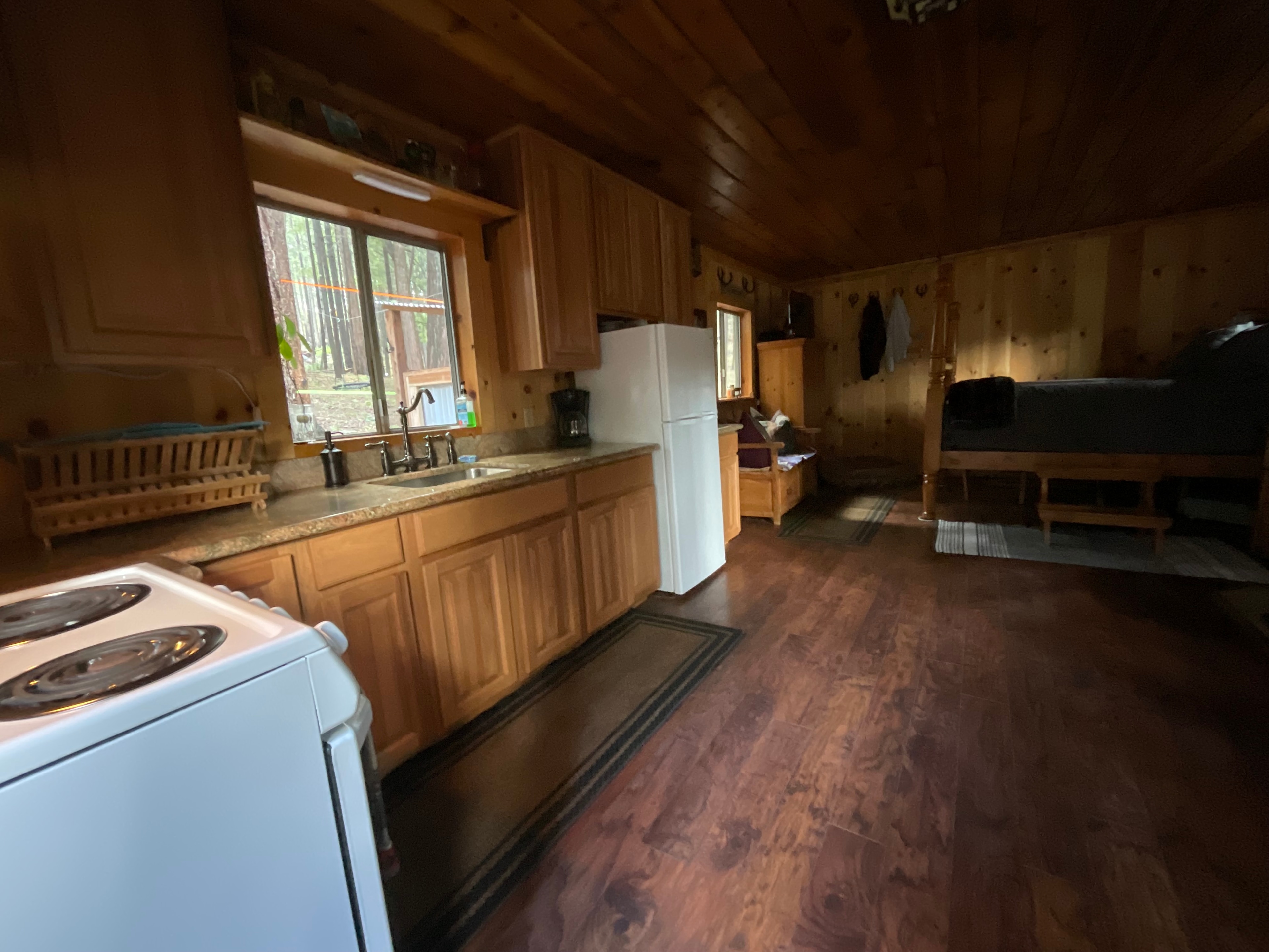 Unplug for nature, dogs, and kids