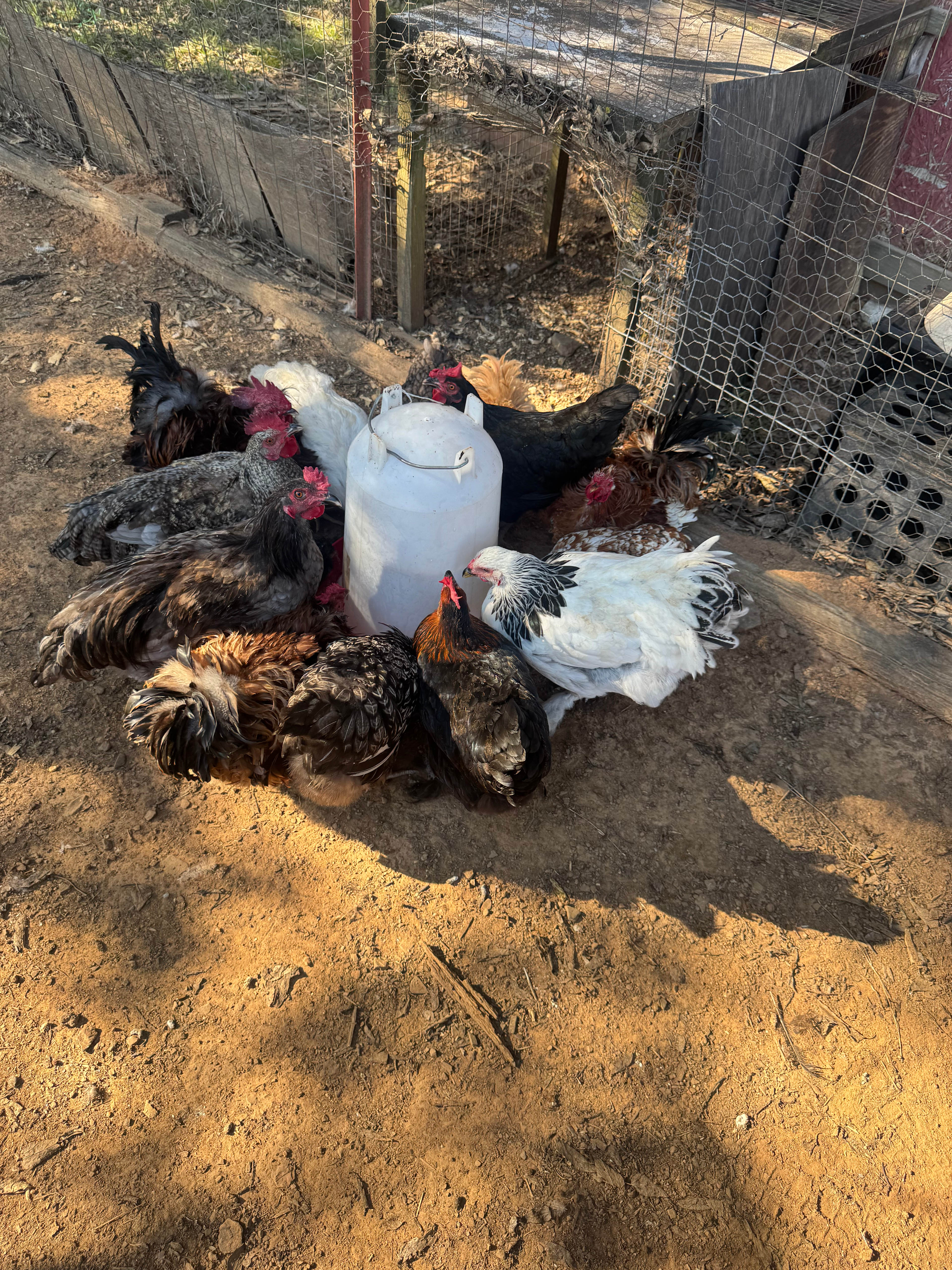 Meadows at Cabin Creek