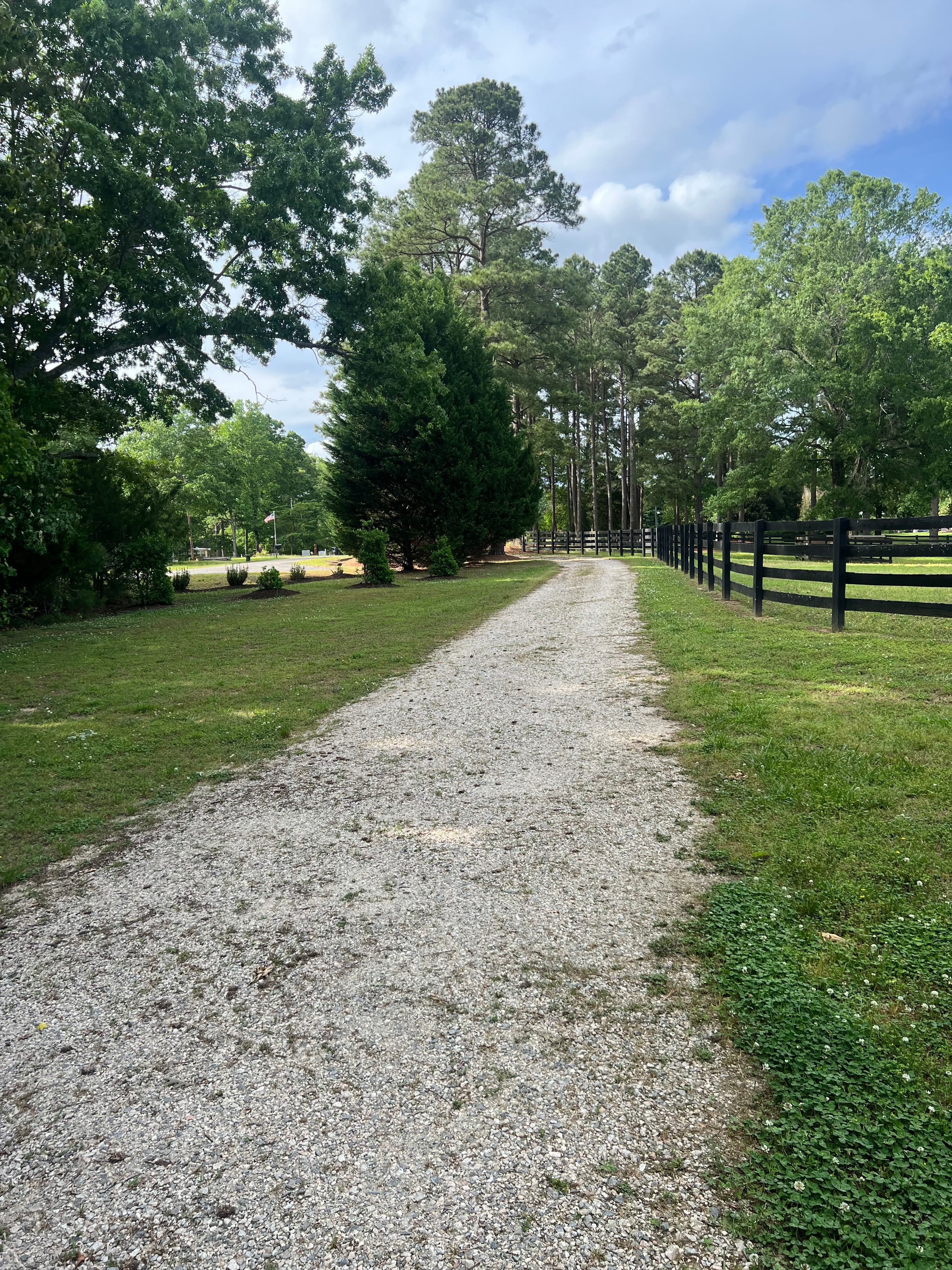 The Pines Horse Farm