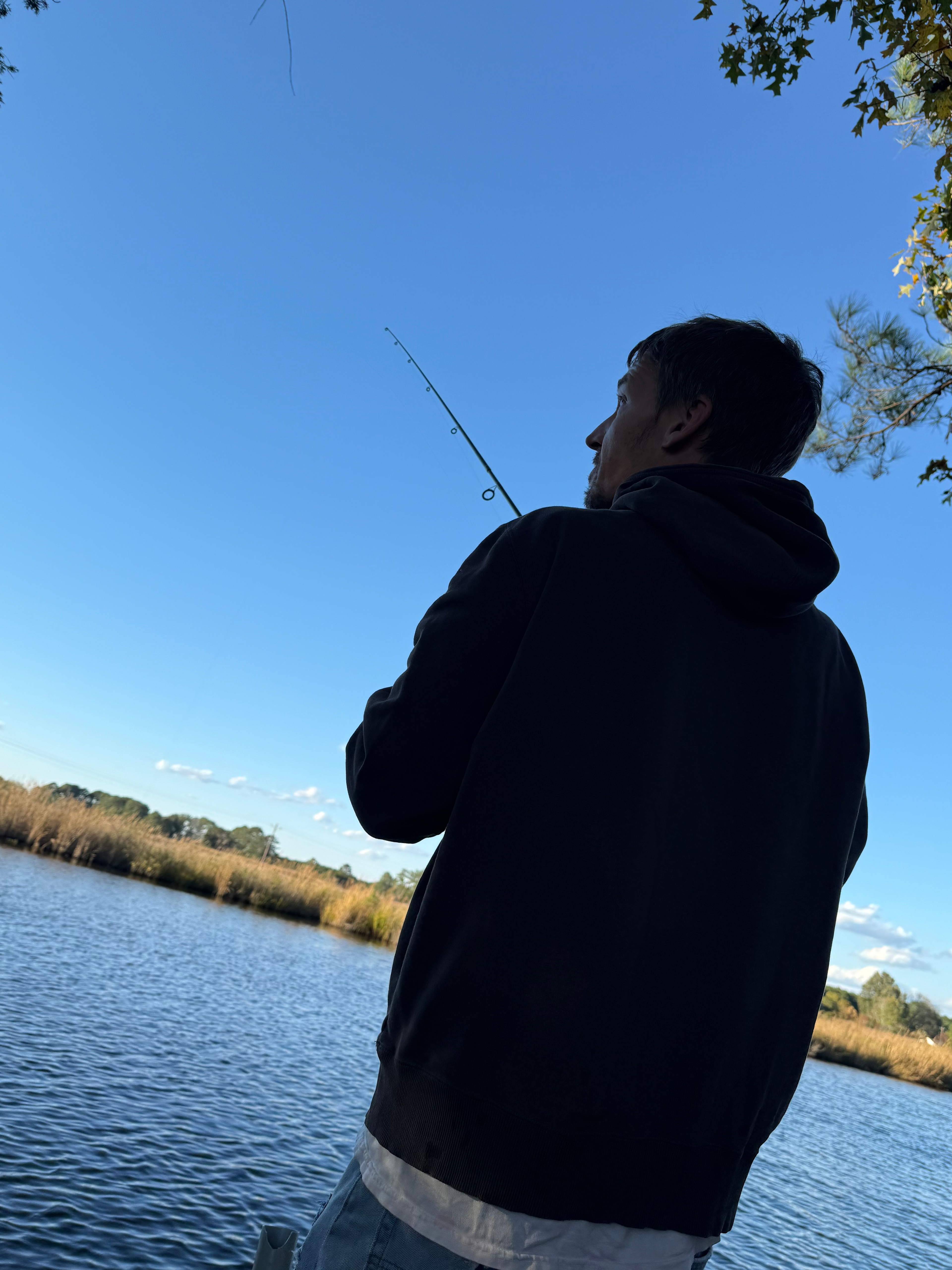 Pocomoke River State Park