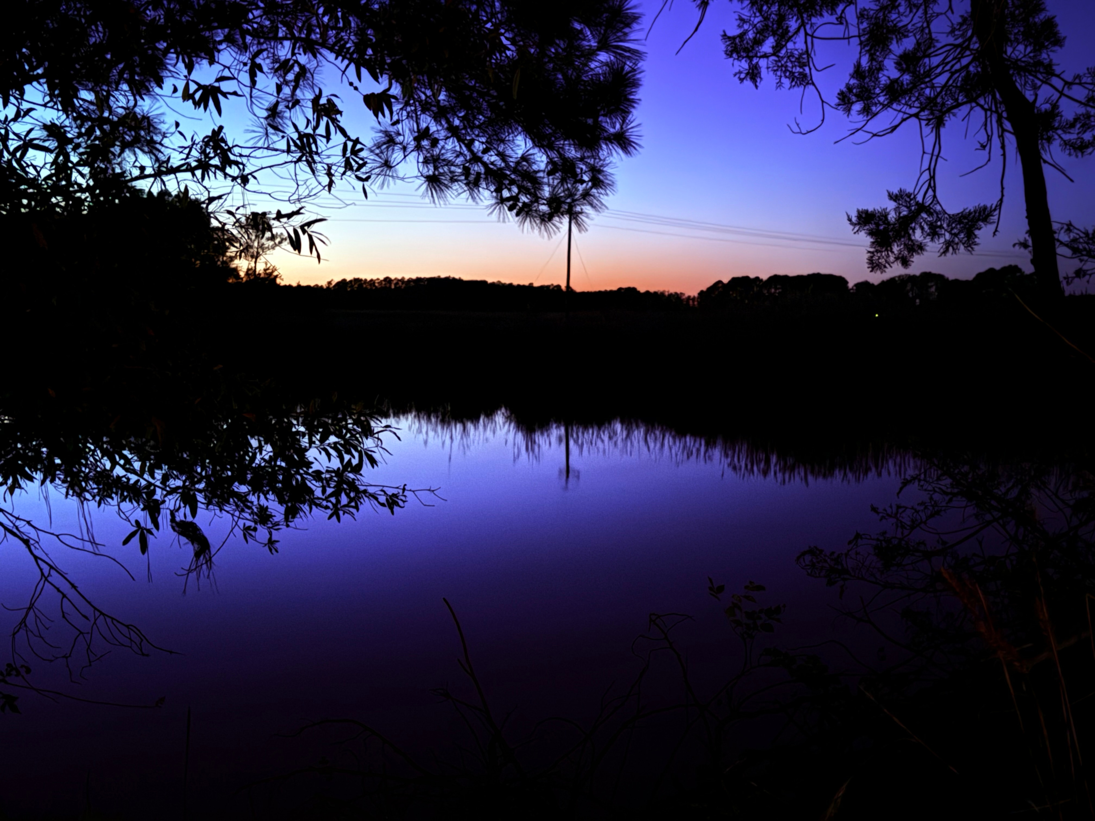 Pocomoke River State Park