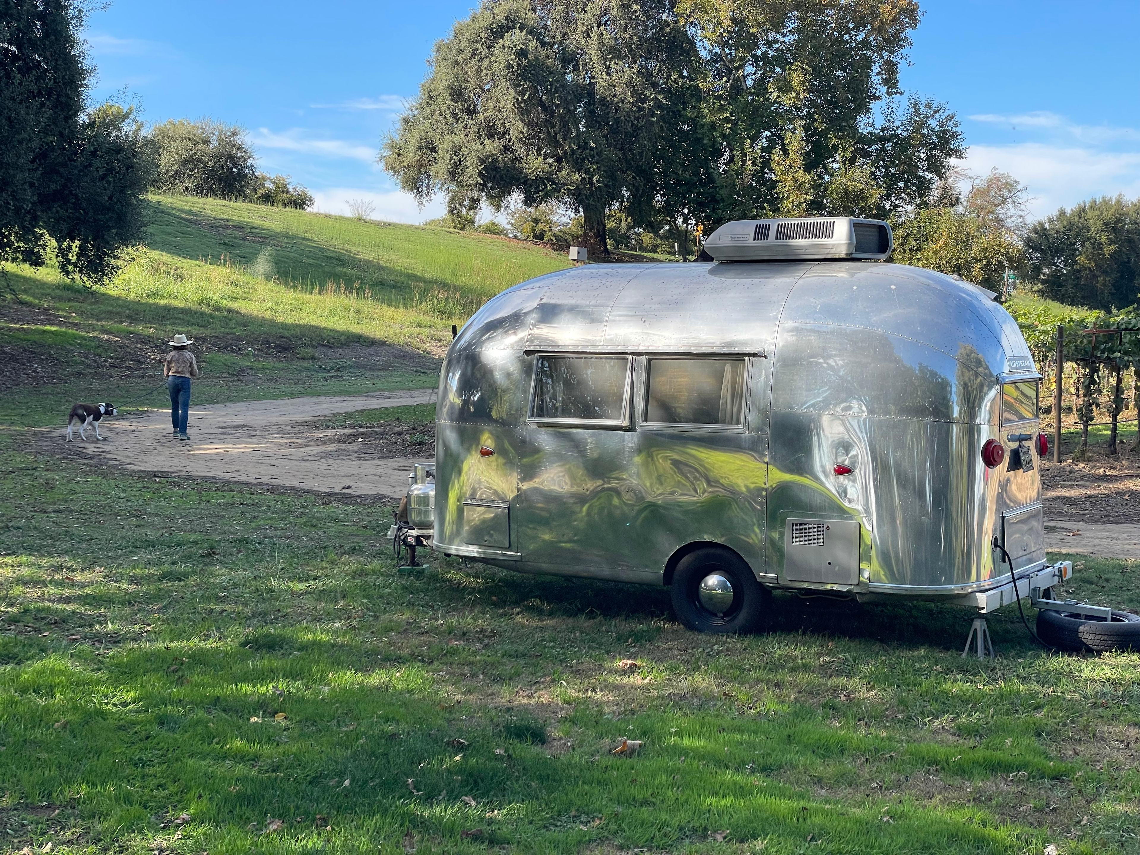 Sacramento Delta Vineyard View