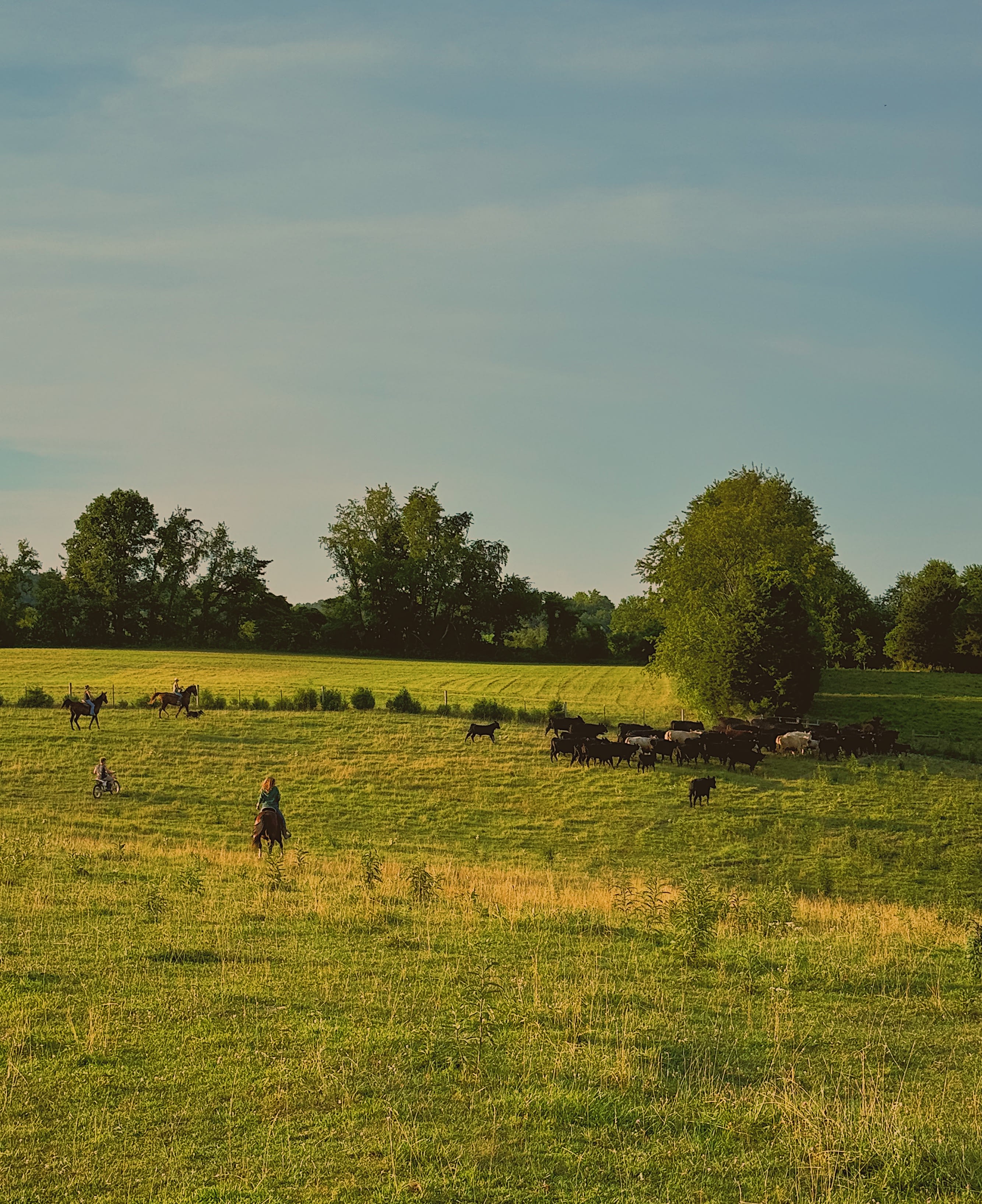 Overlook Farm Camping