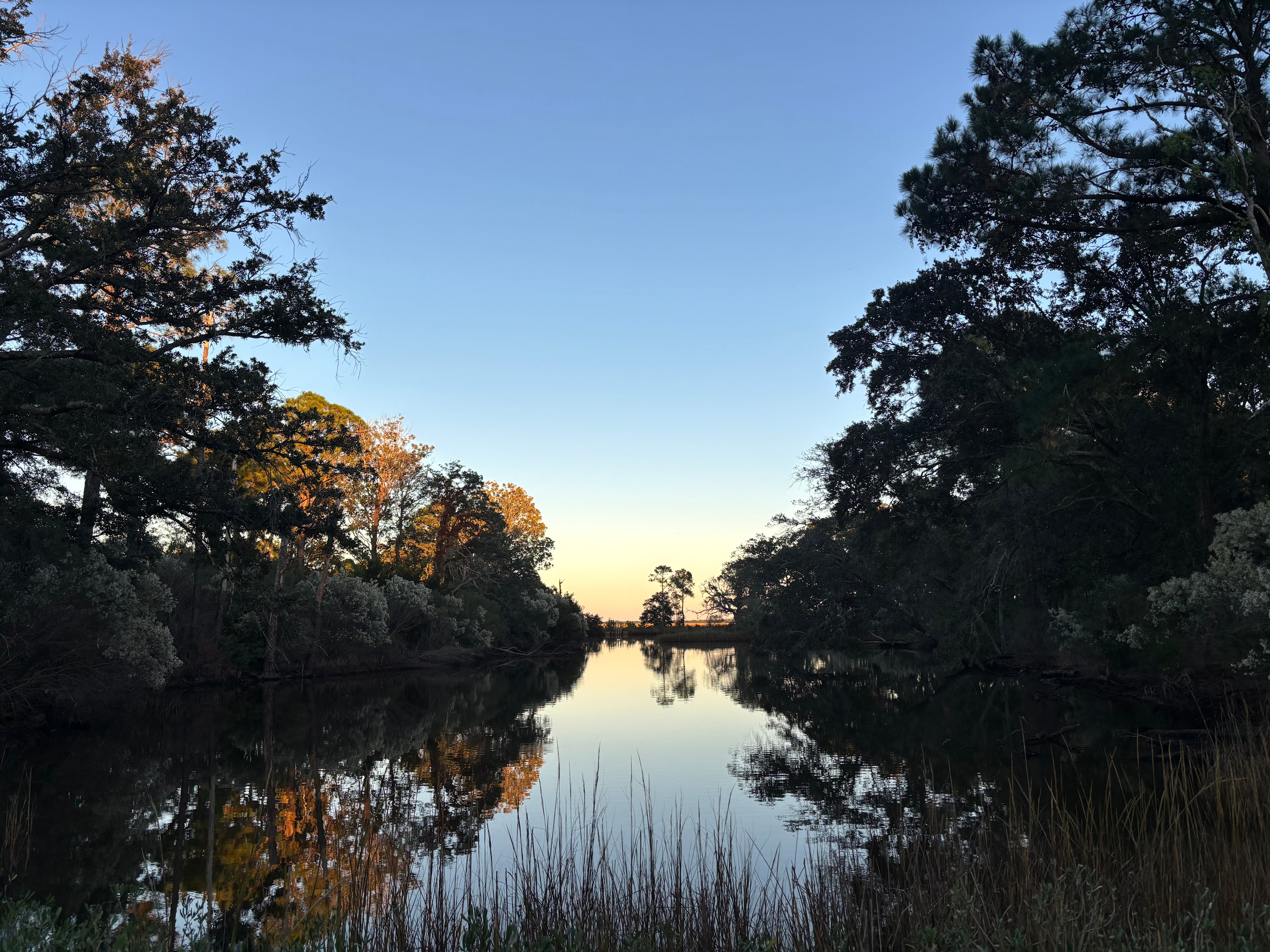 A look at the pond next to the camp site. It is a salt water pond and fishing is allowed but ONLY CATCH AND RELEASE