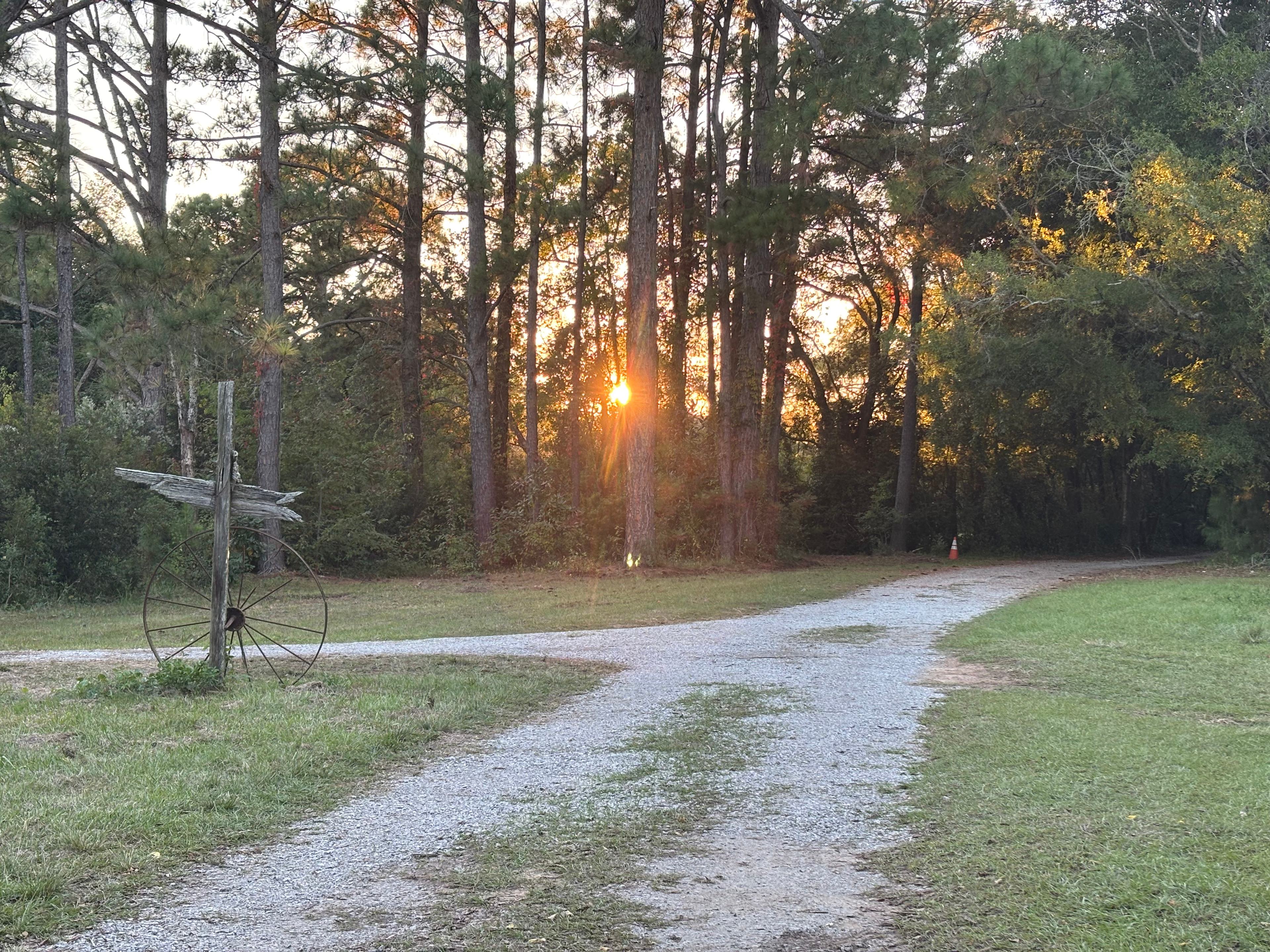 This is the road that leads from the street to the camp ground.
