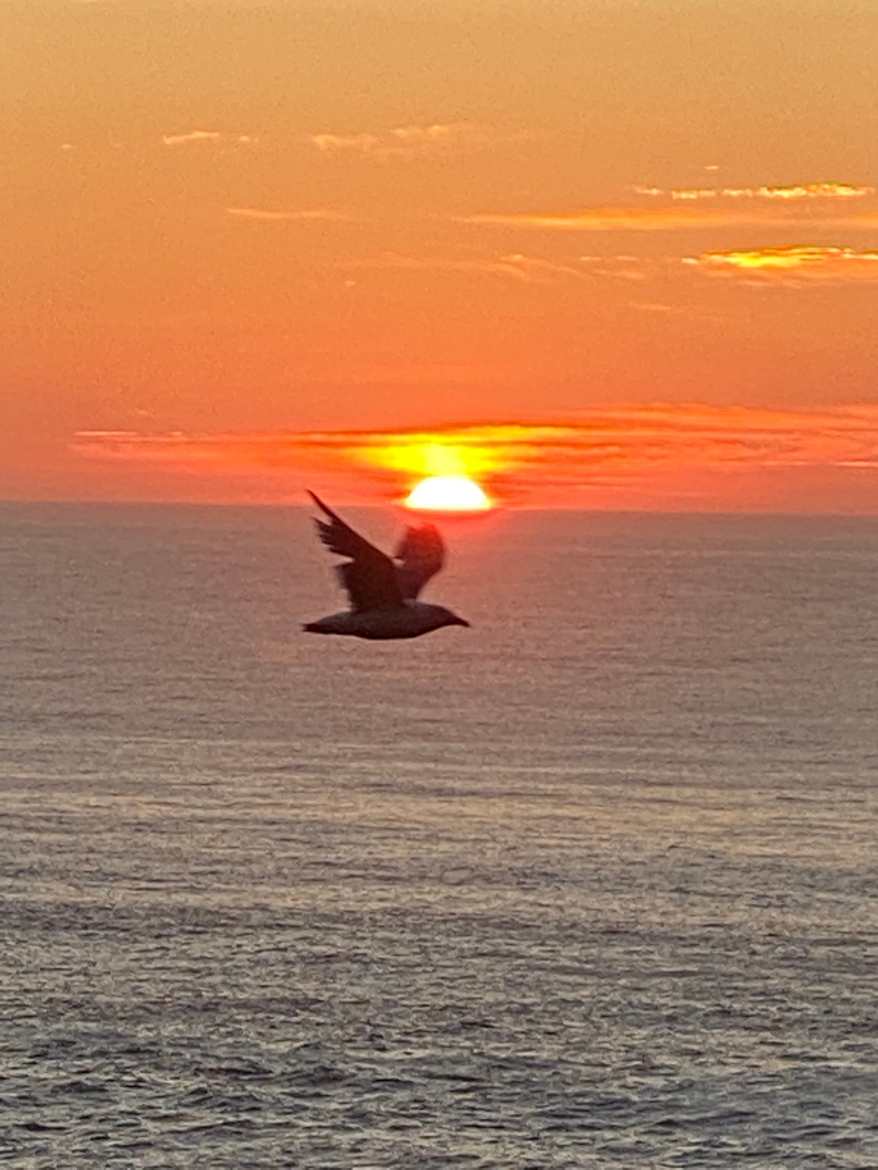 Strawberry Island private beach