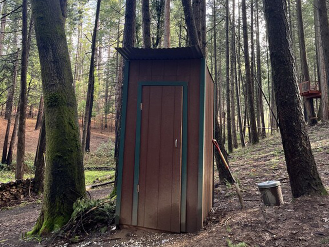 Unplug for nature, dogs, and kids