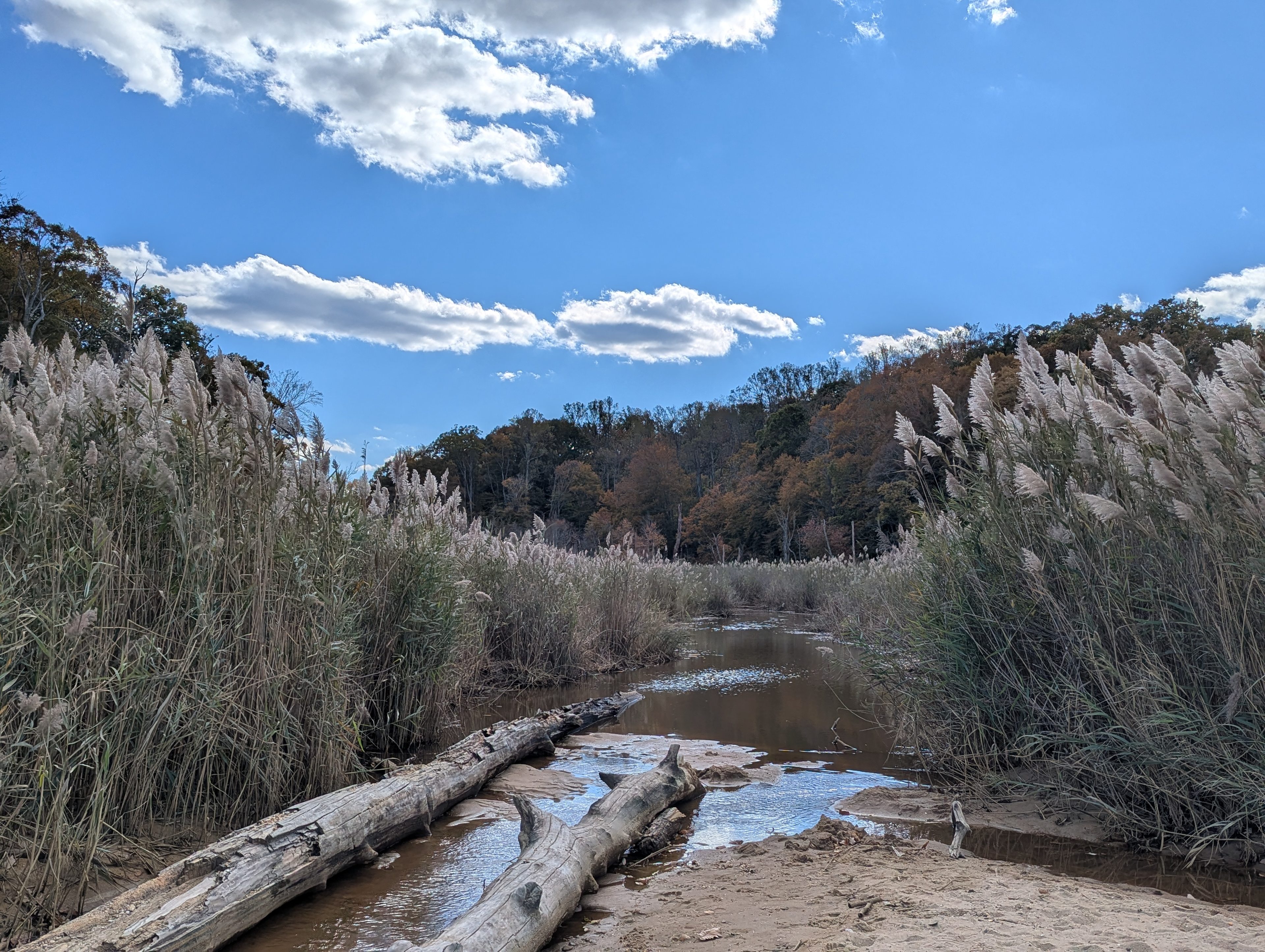 Westmoreland State Park Campground