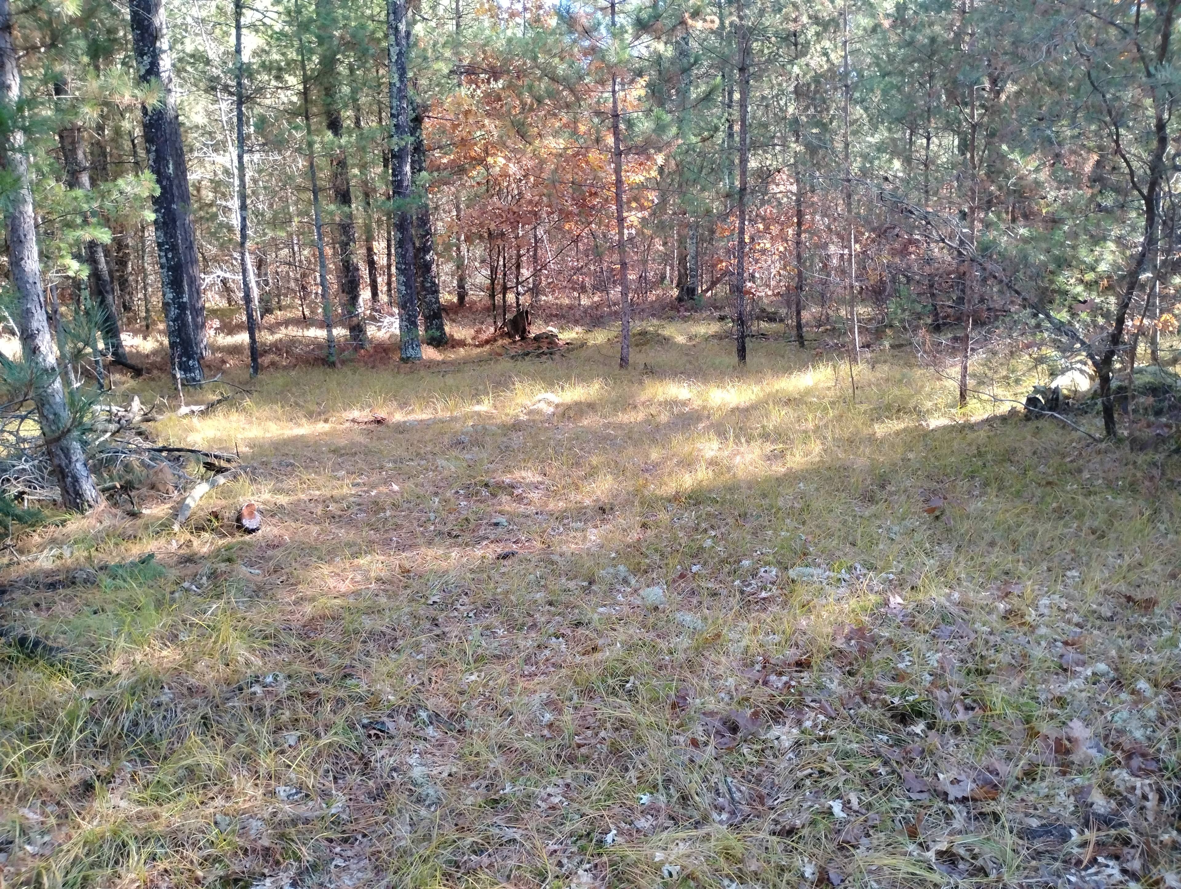 Secluded Woodsy Camp by the River