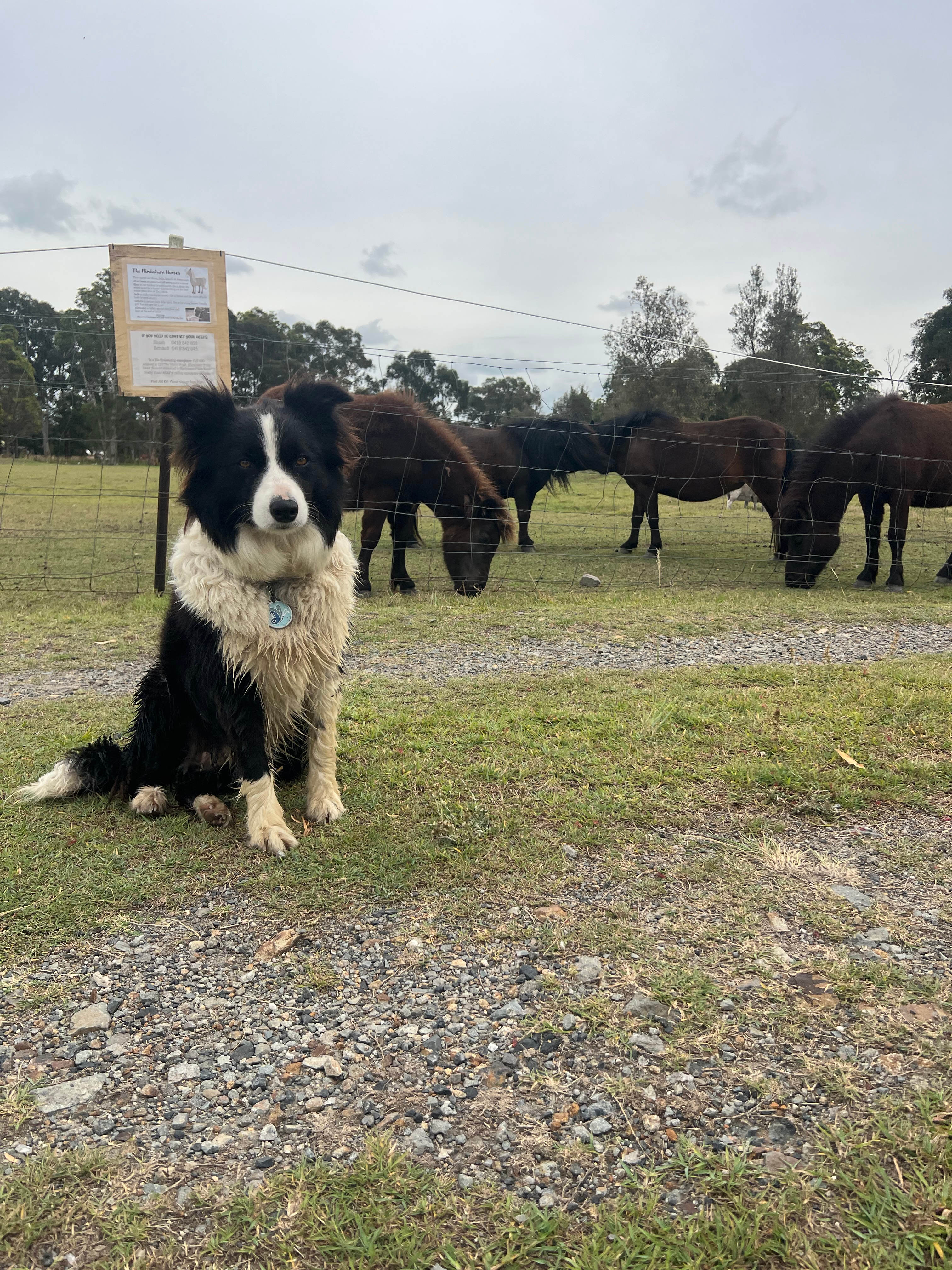 The Hatch Farm - Port Macquarie