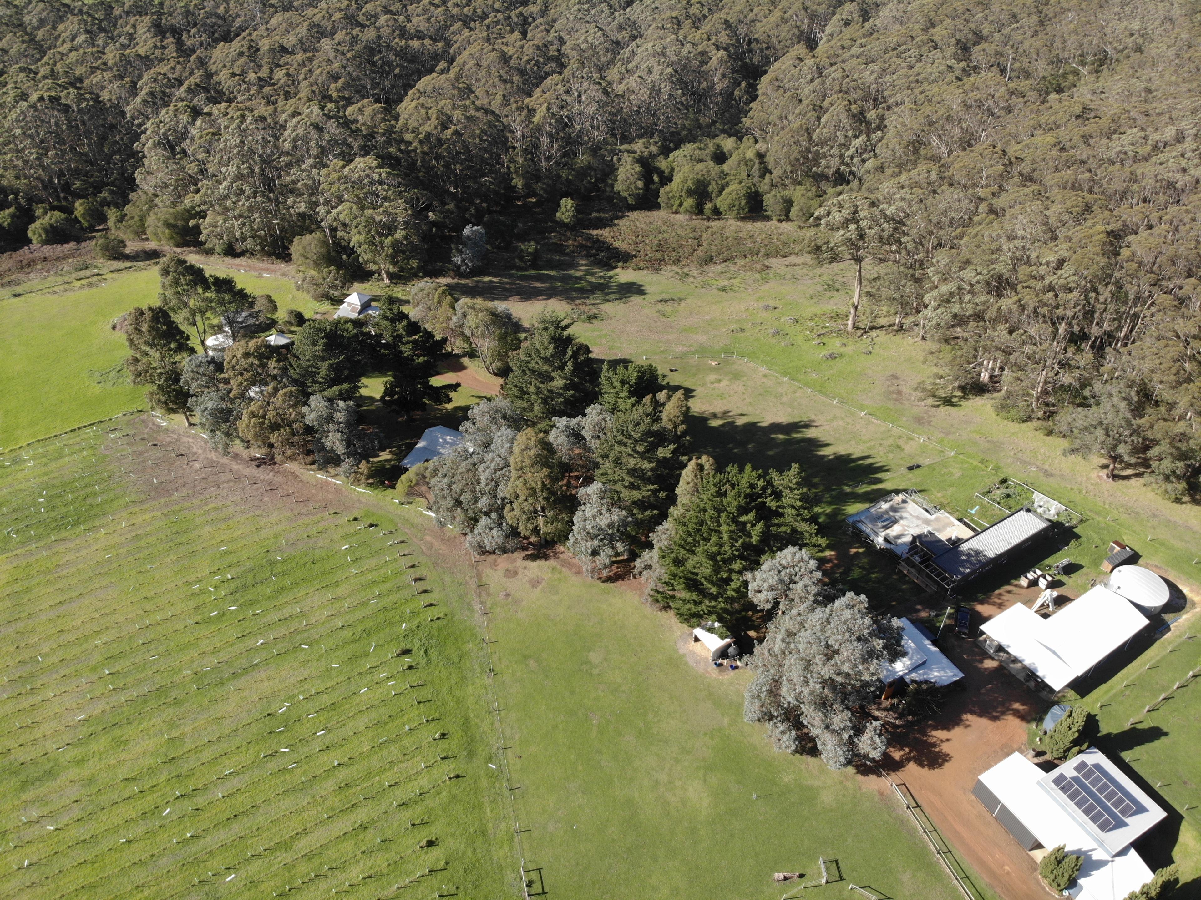 Monkey Rock Cider & Brewing Co