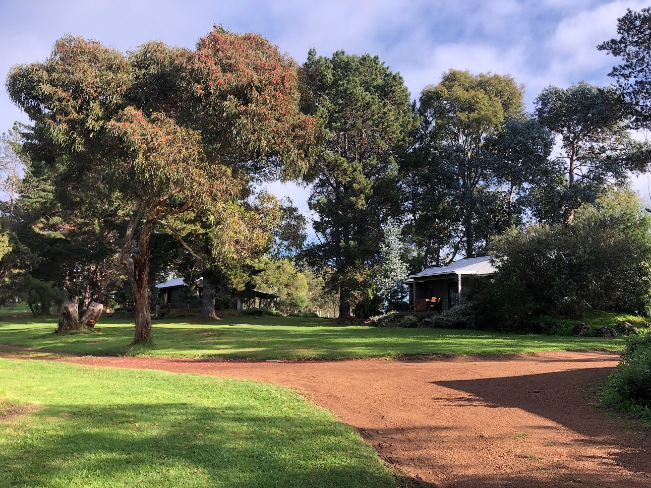 Monkey Rock Cider & Brewing Co