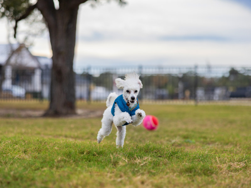 Sun Outdoors Orange Beach