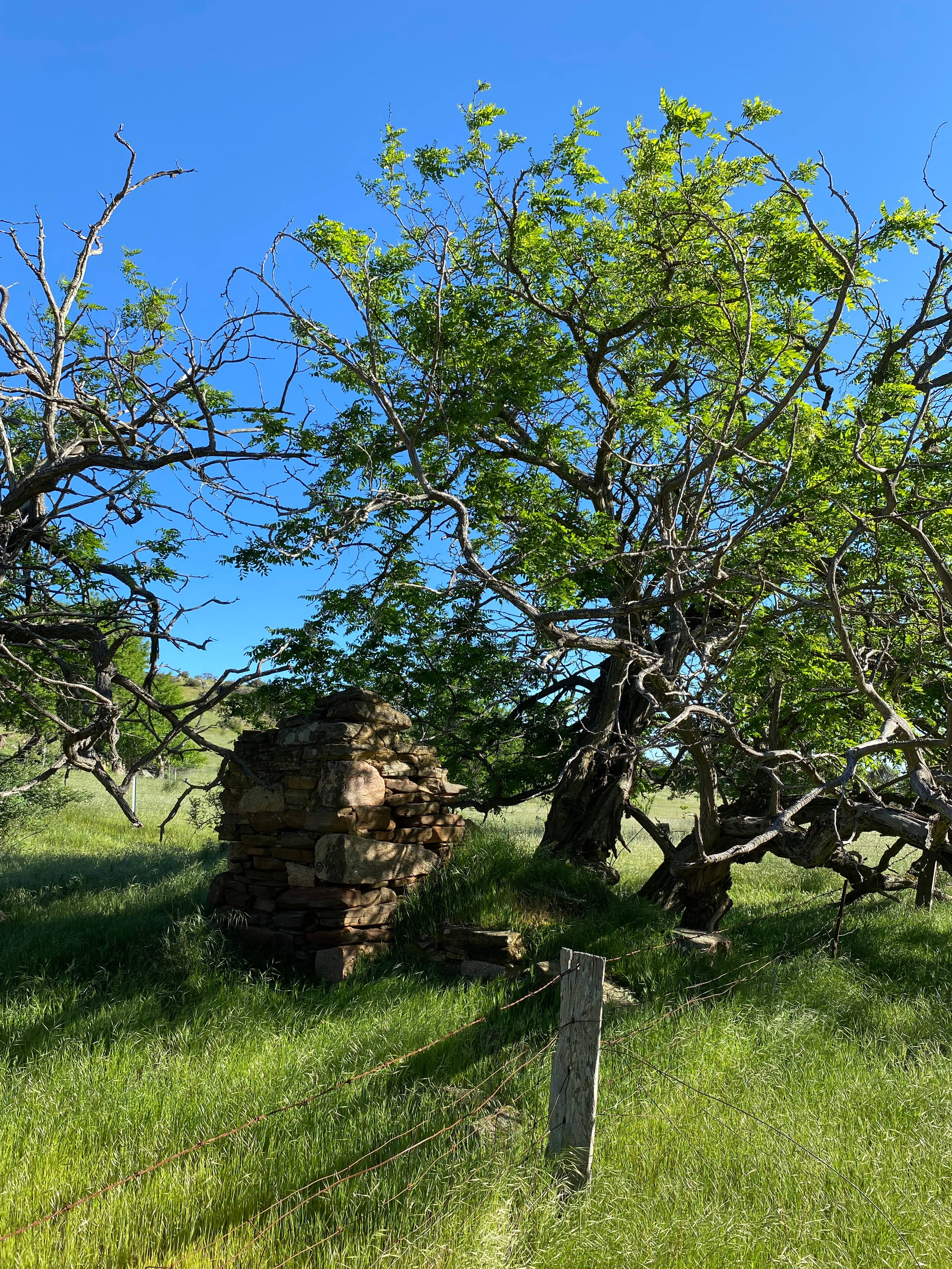 Humble Farm