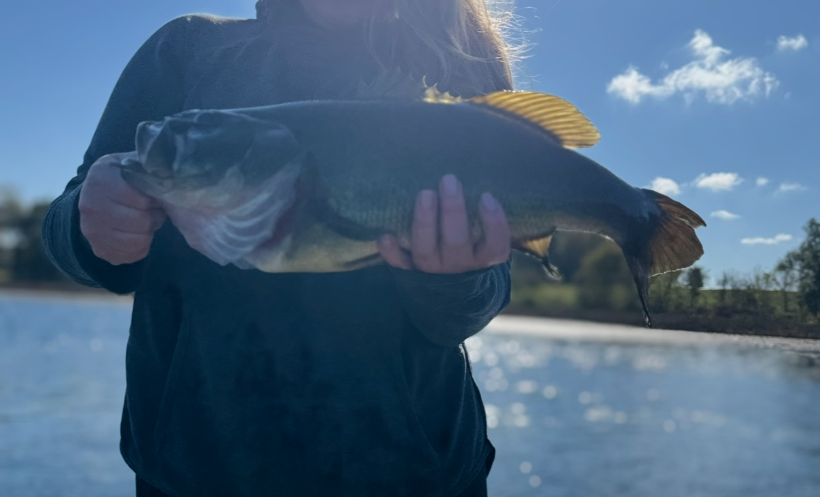 Restful Camping Retreat