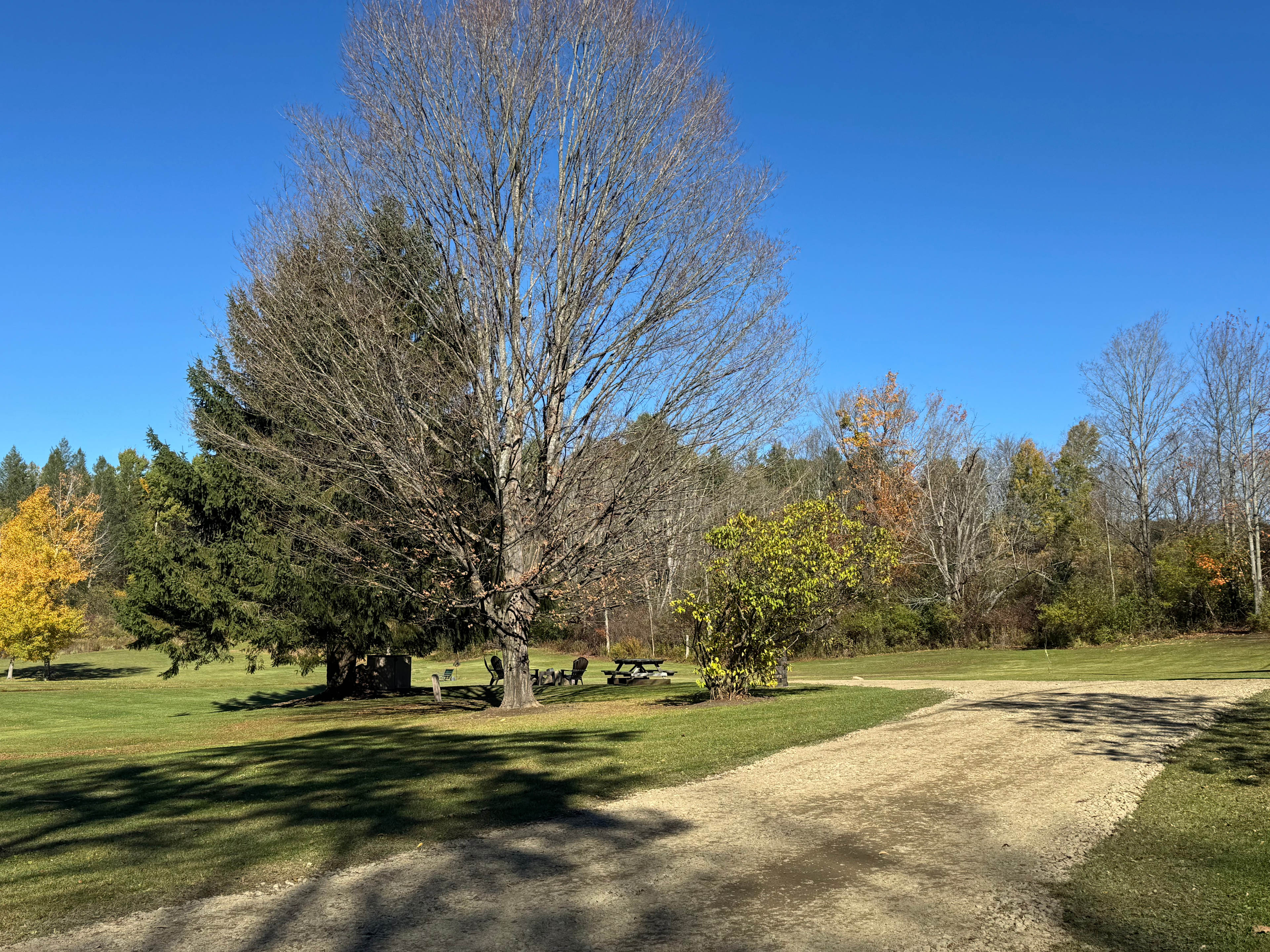 The Moore the Merrier Campsite