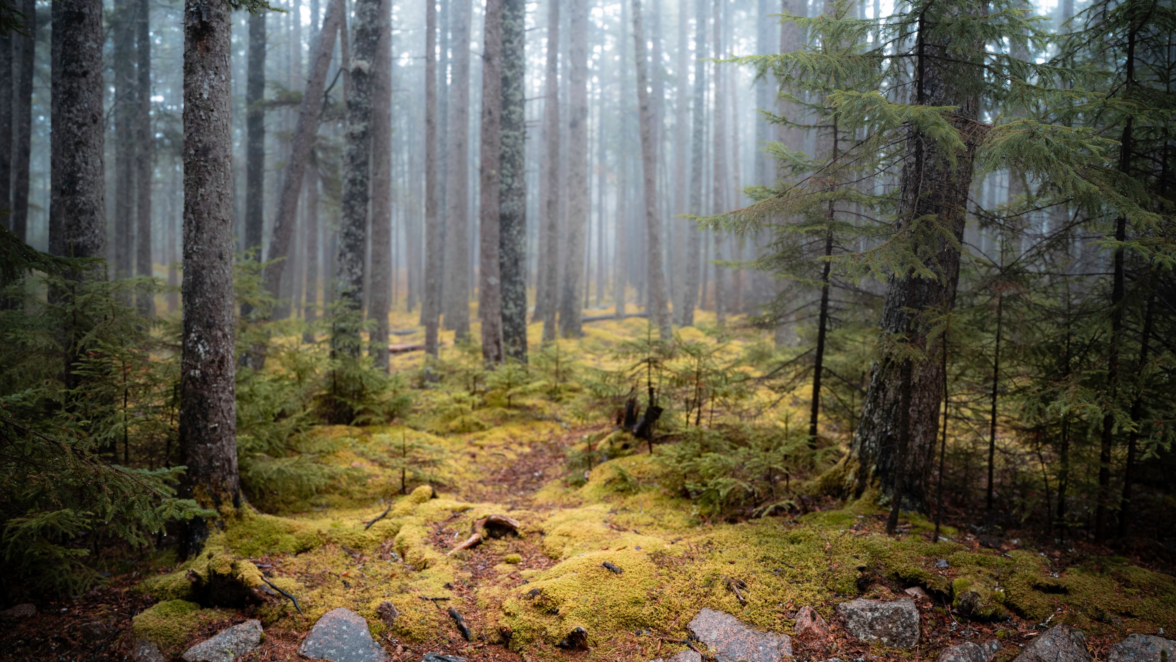 Acadia National Park