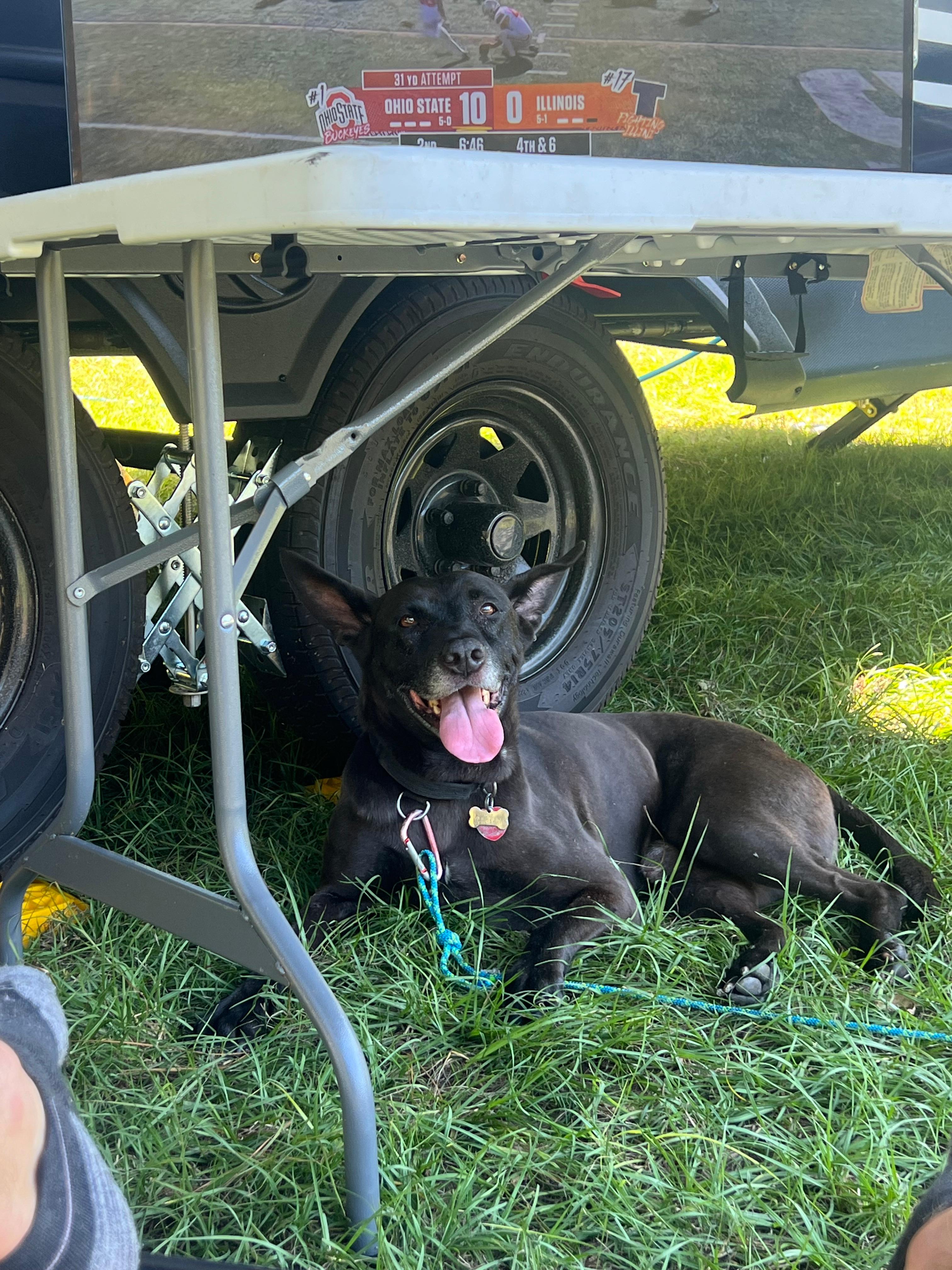 Pondview Acres Campground