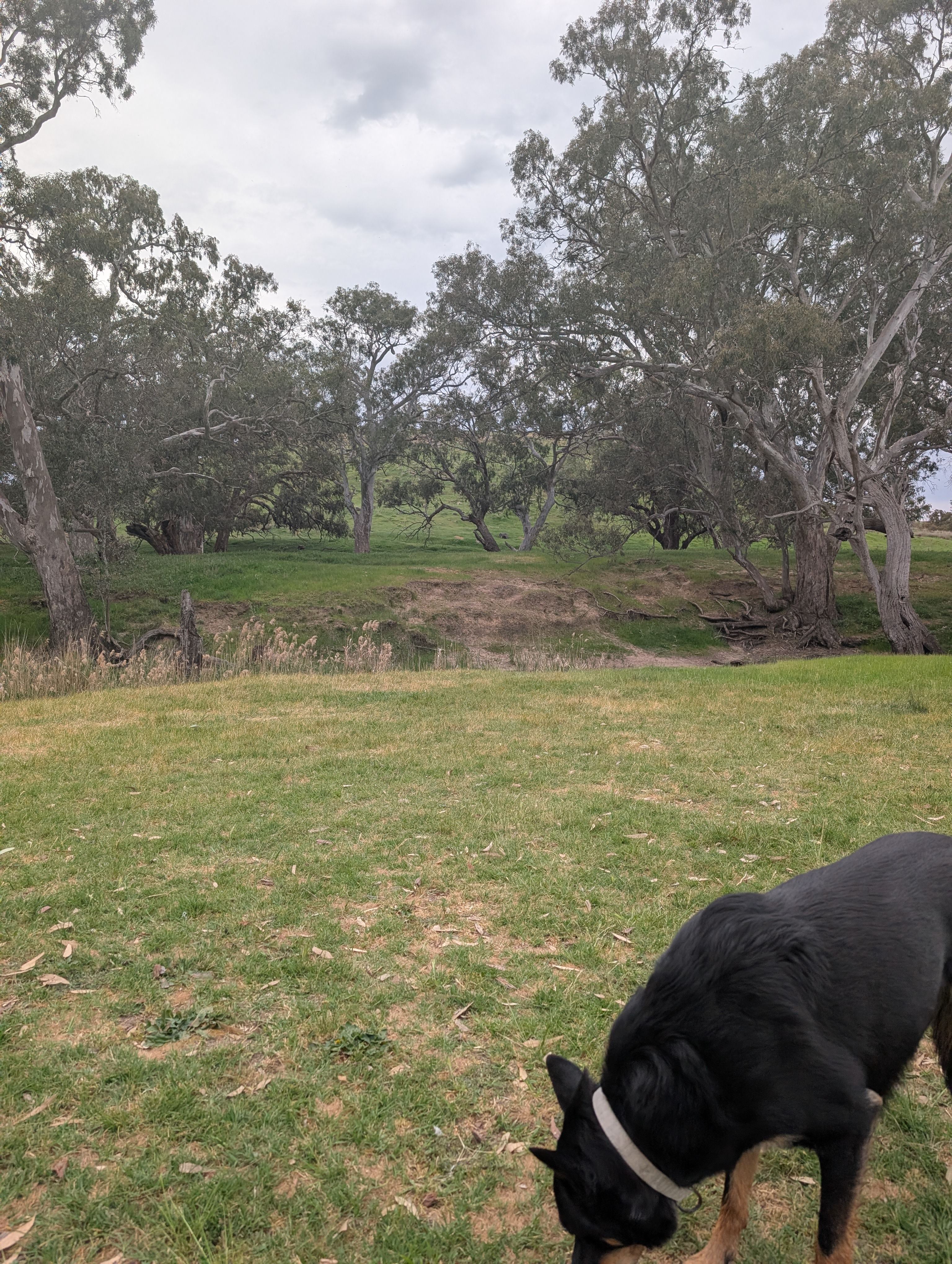 Secluded exclusive river campsite