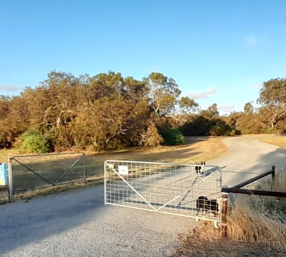 Melaleuca Hideaway