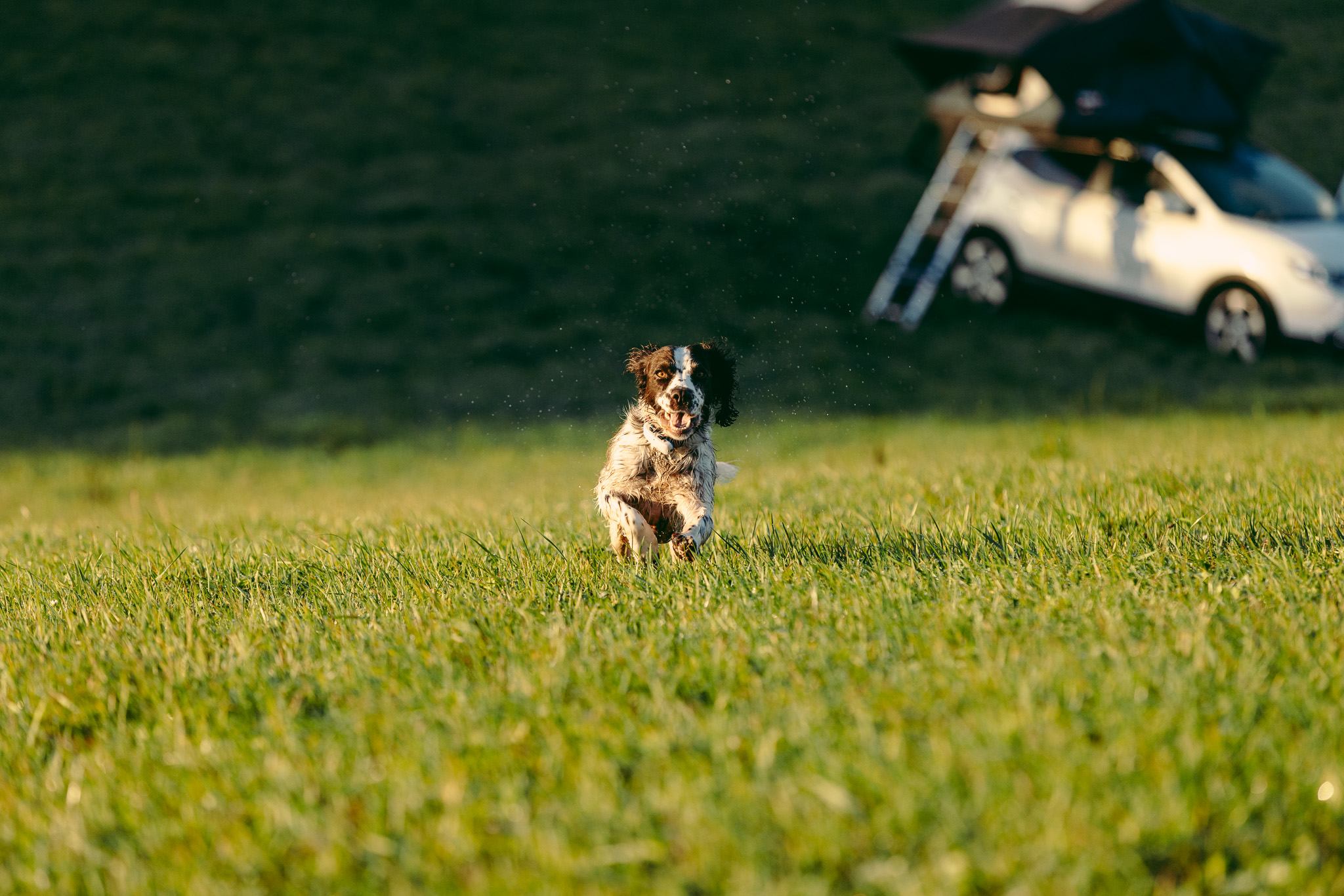 Wild Camping in the Cotswolds