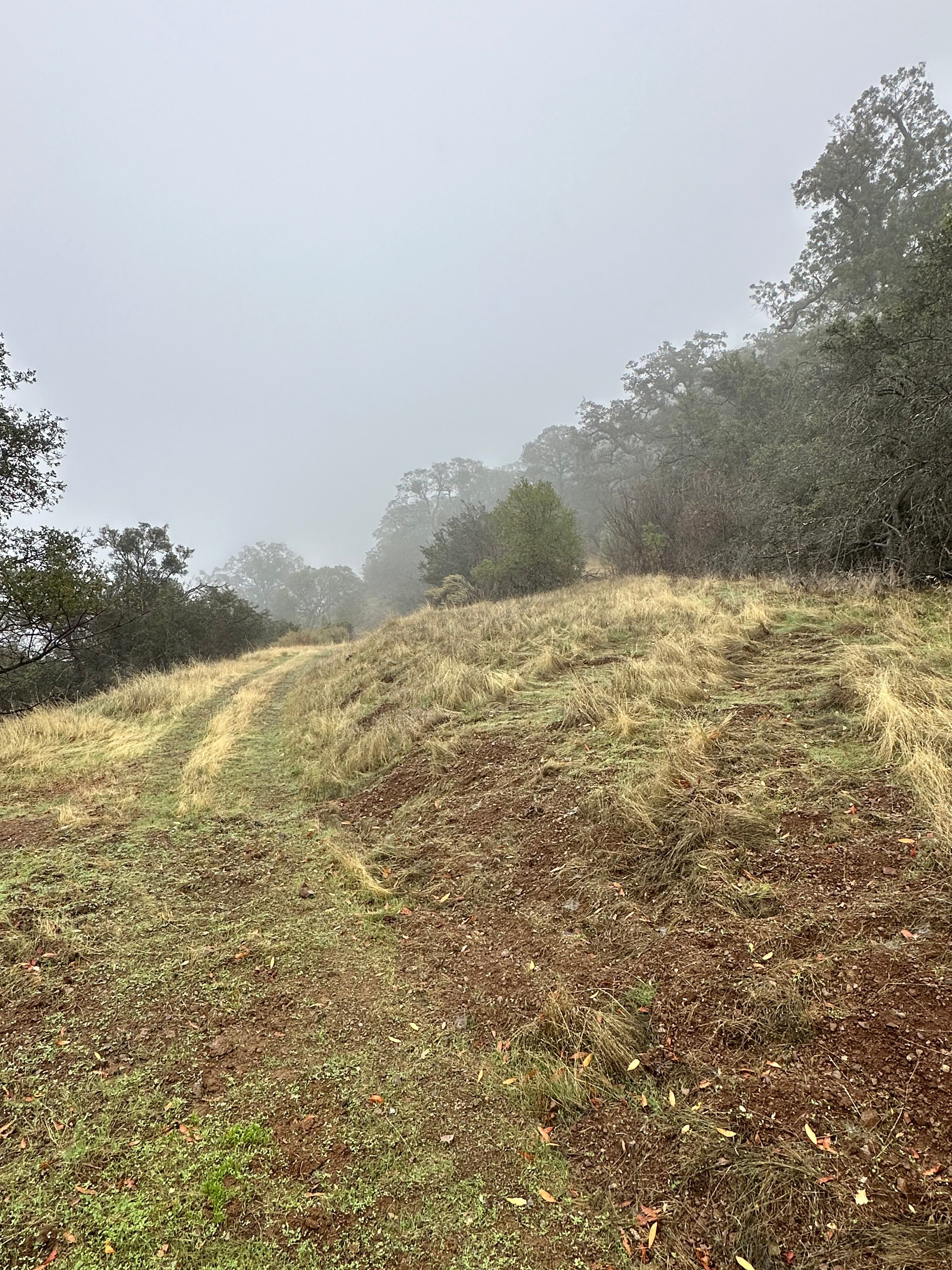 Beside Still Waters Ranch