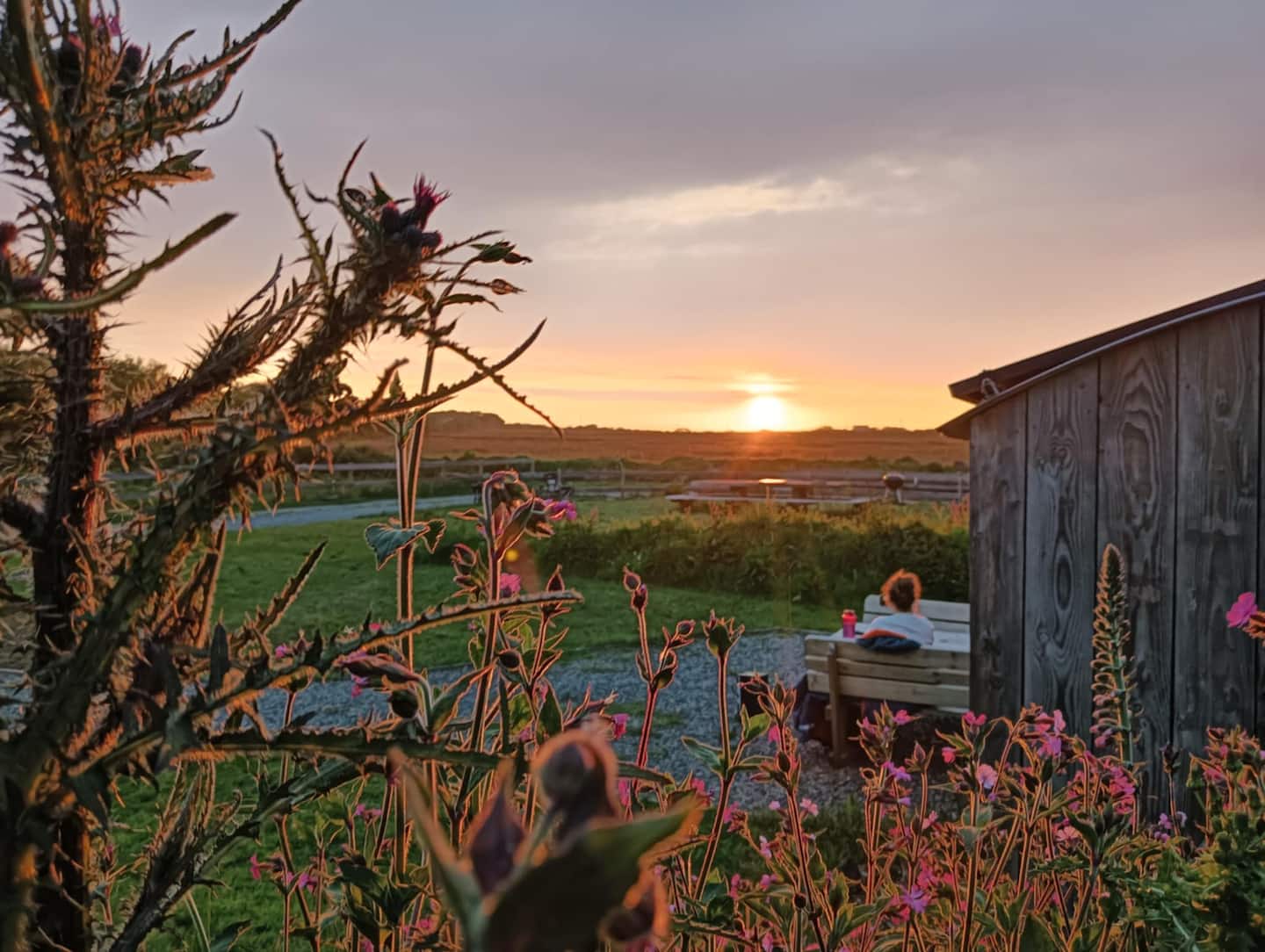 Off The Beaten Track Glamping