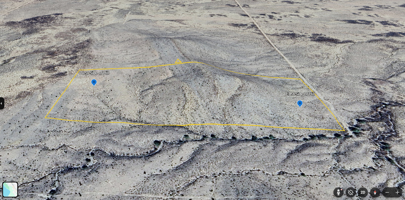 Dessert Under The Stars