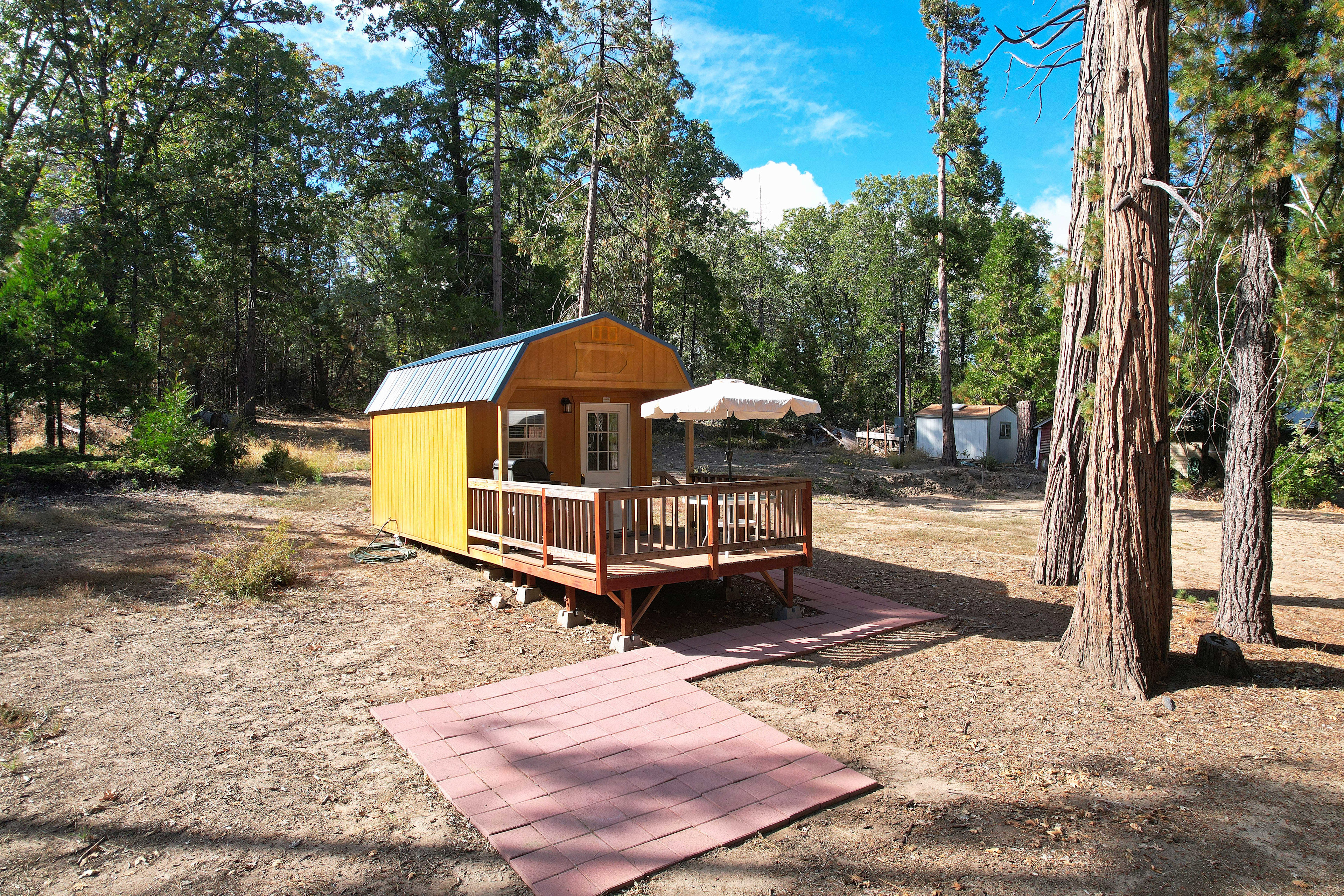Tiny Cabin in the Sierras