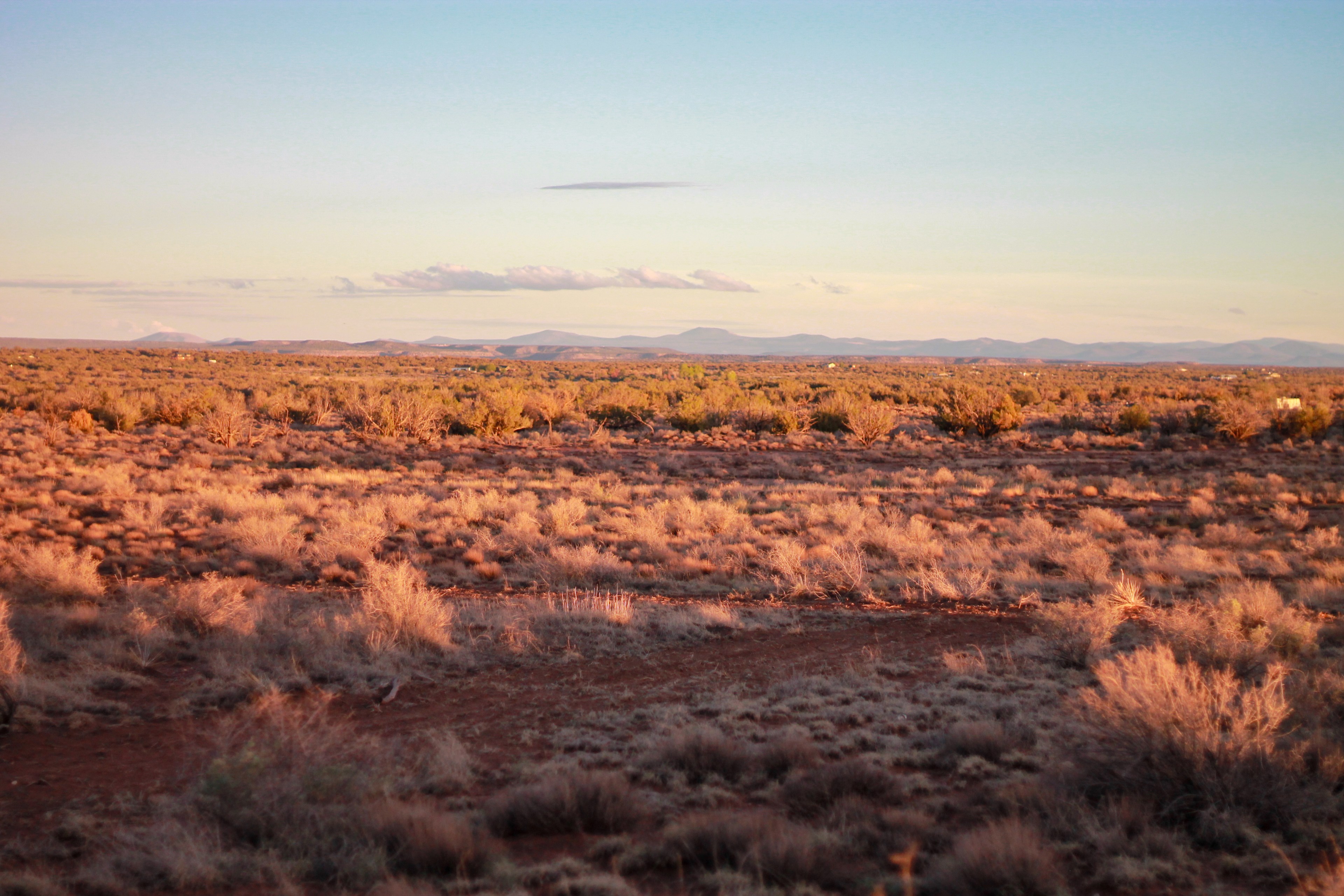 High Desert Camping & RV Park AZ