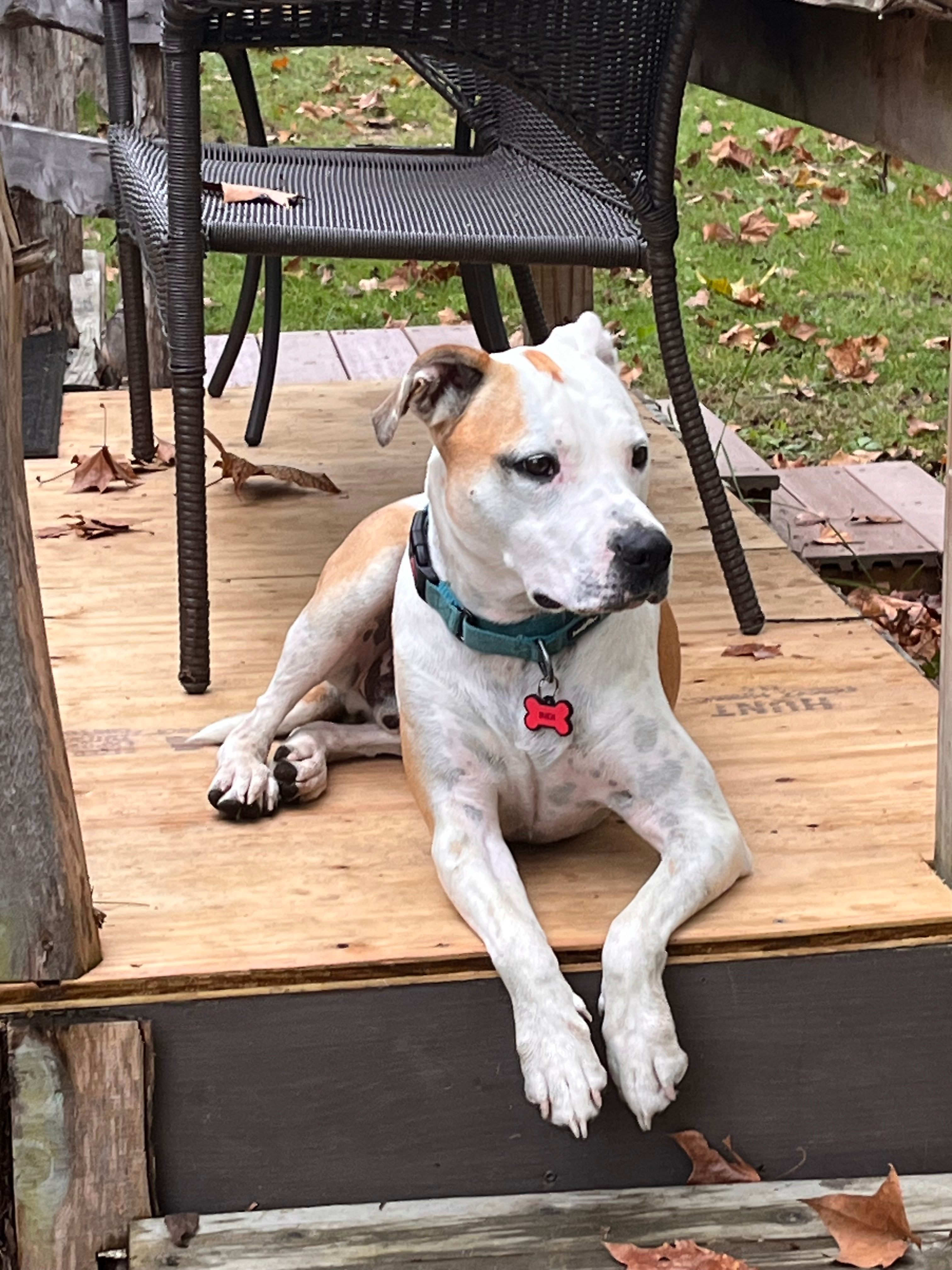 MoonRise Cabin-Farm w/ Trails