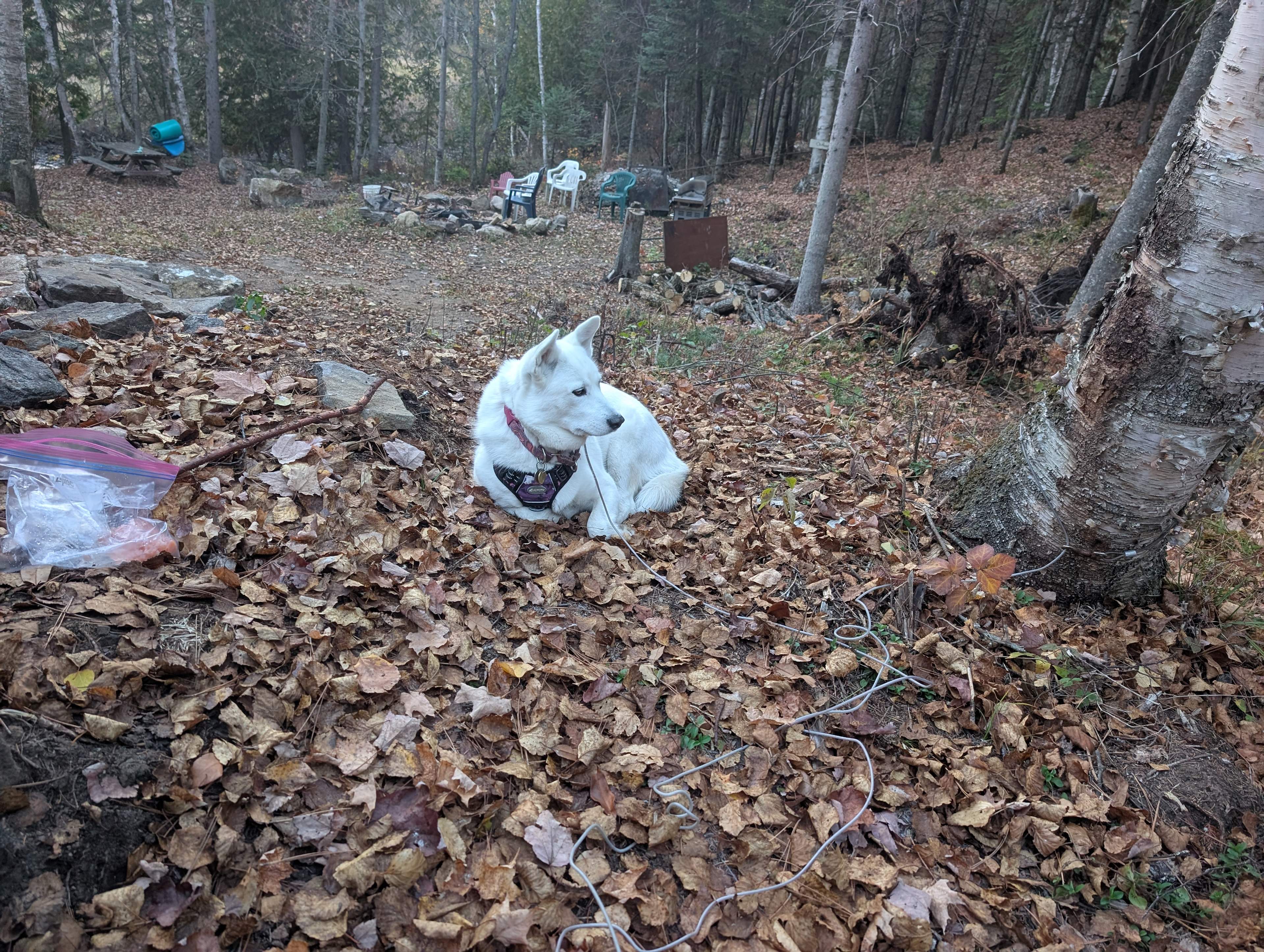 Rockingham Creek Valley
