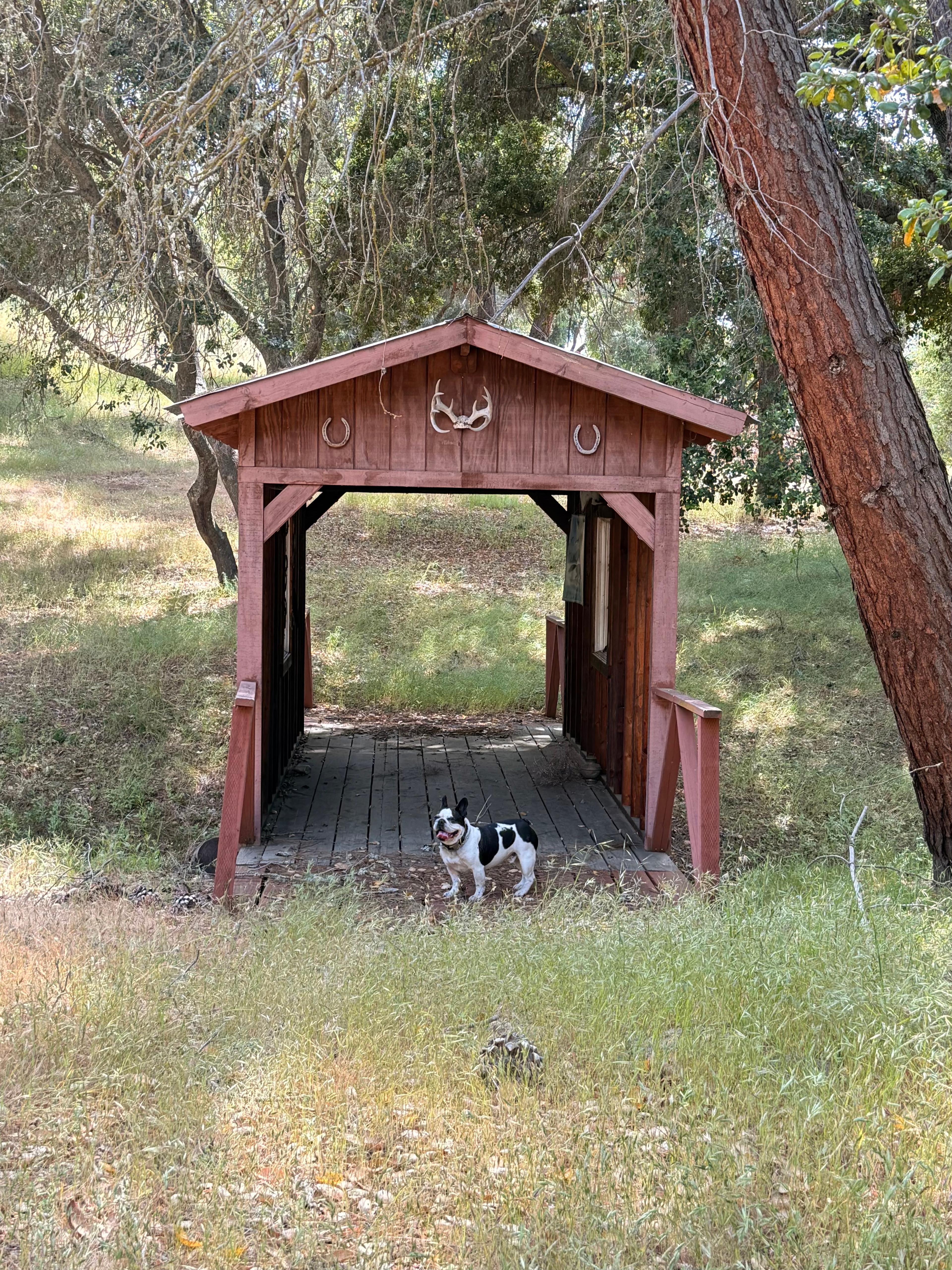 Wolf Six Ranch • Wine Country Stay