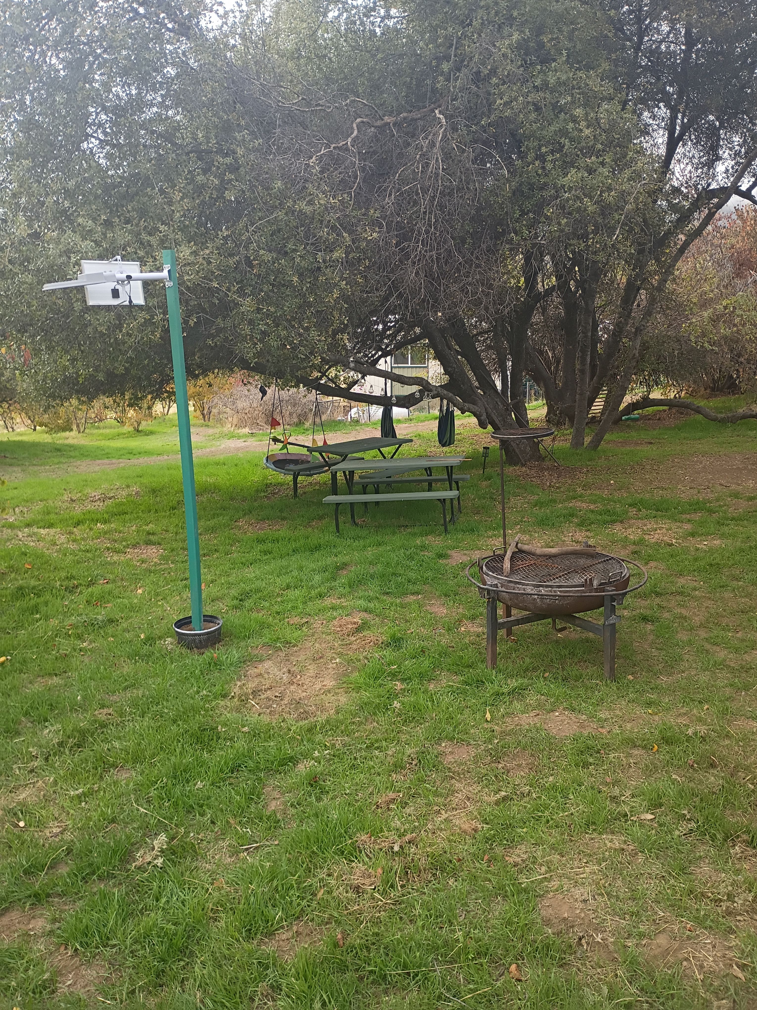 View of some picnic tables and the fire pit. 