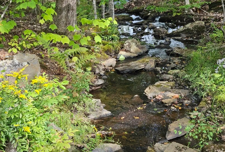 Secluded Center Pond RV Site