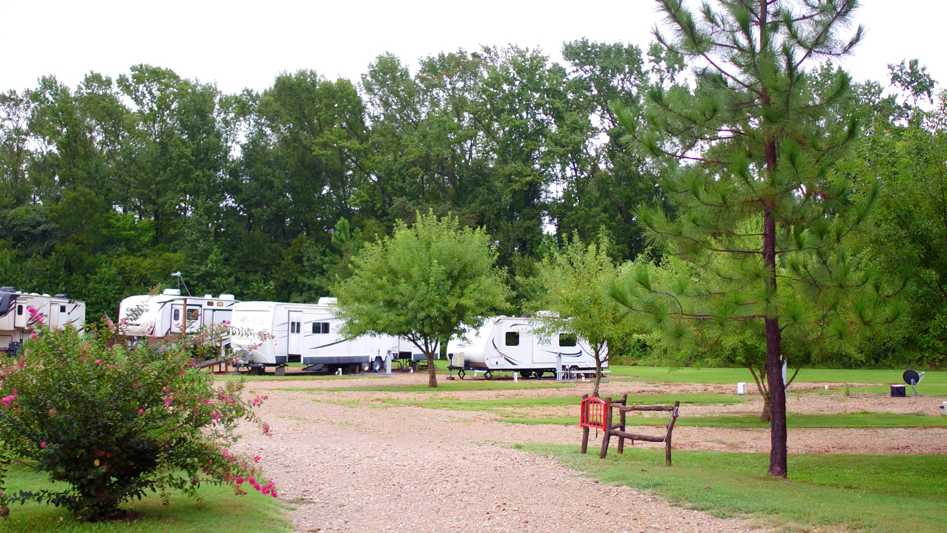 Big Rig Friendly Park in the Pines