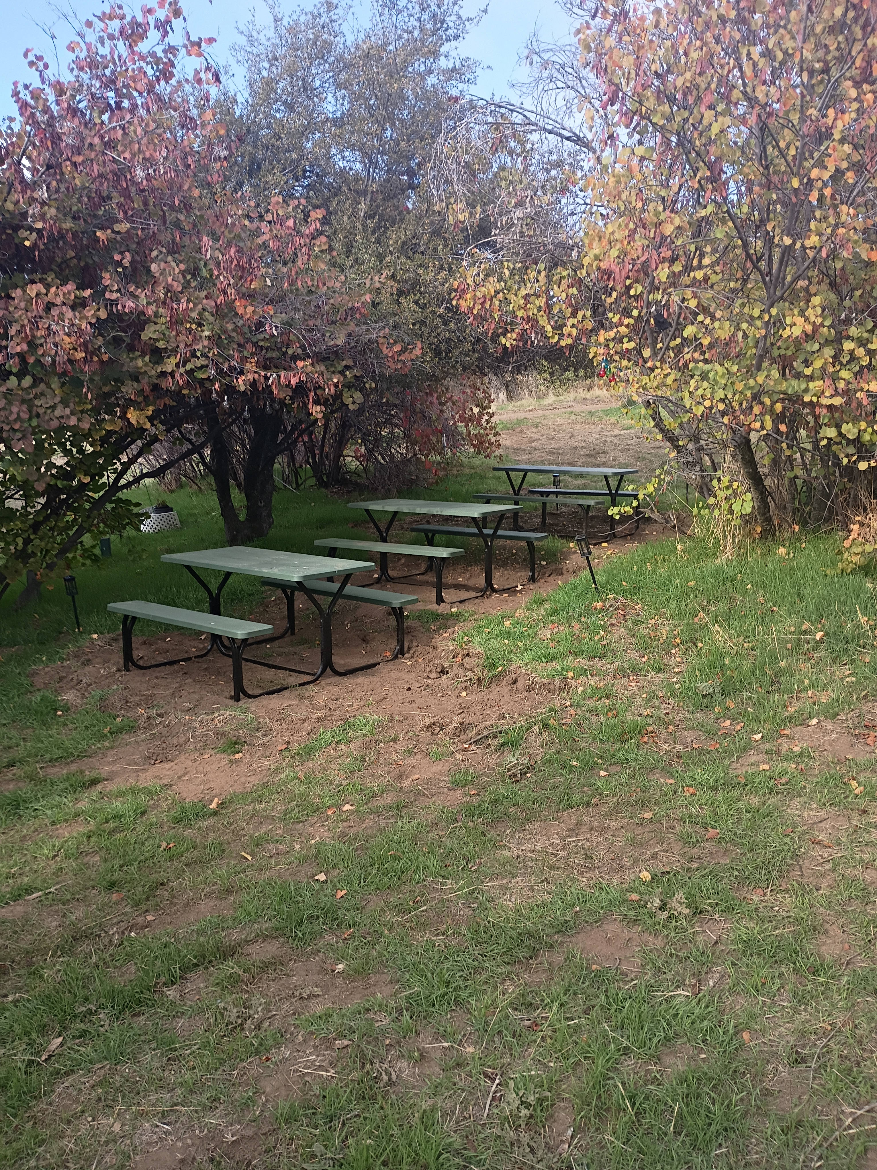 Picnic table area 