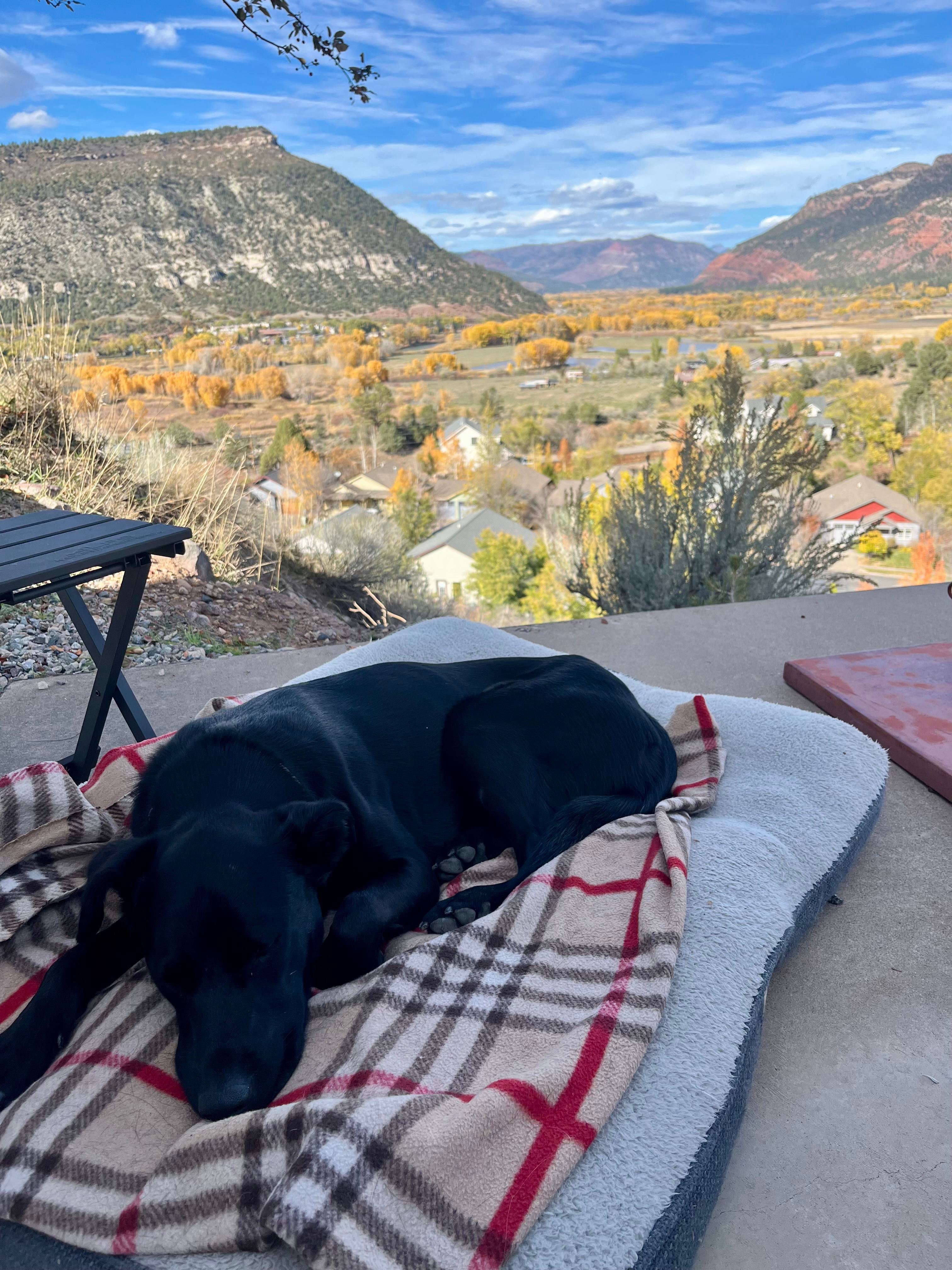 Views For Days! In Town Durango